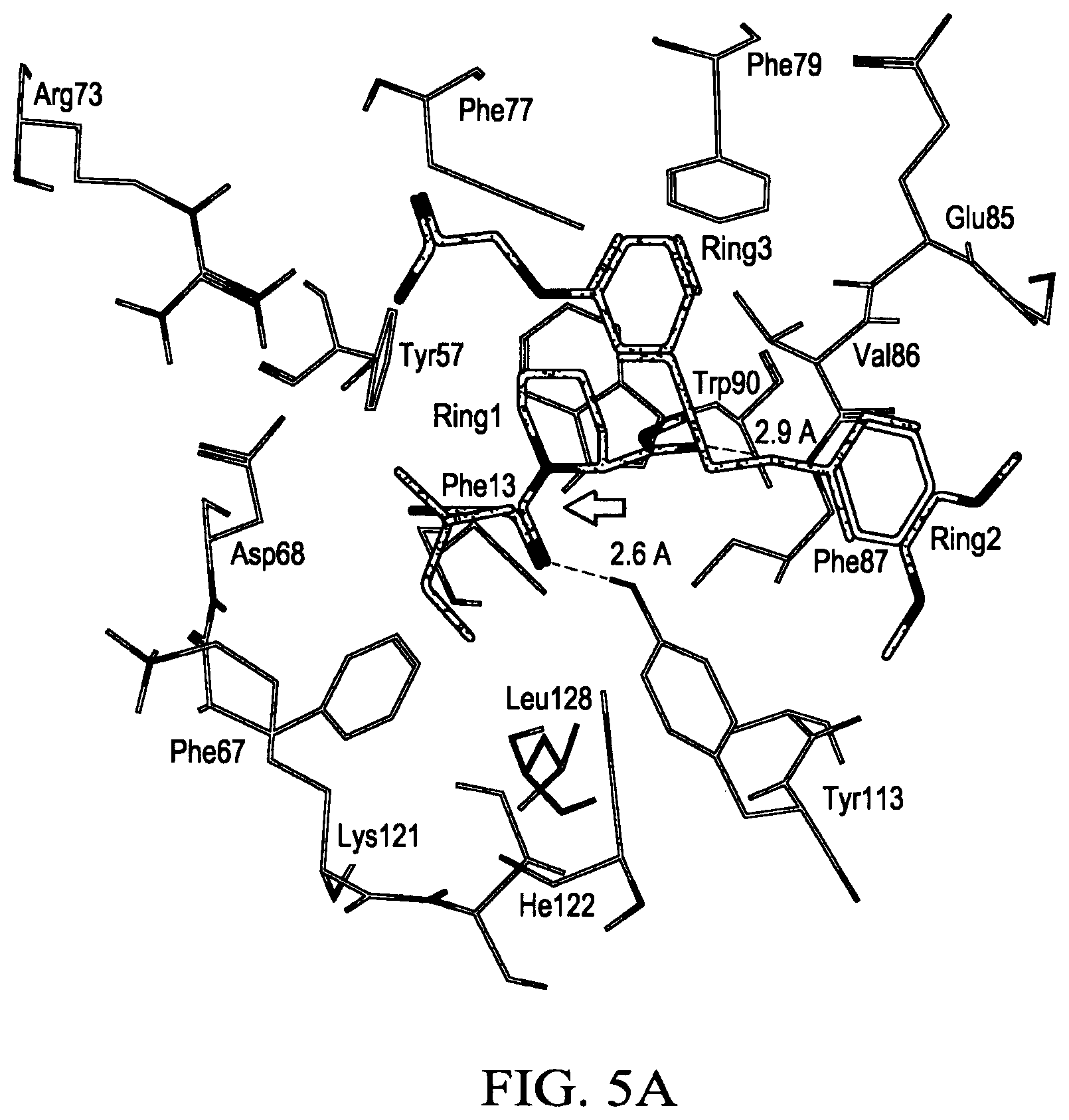 Patent US12351560 Figure 16 – Next generation FKBP52 targeting drugs for the treatment of prostate and breast cancer