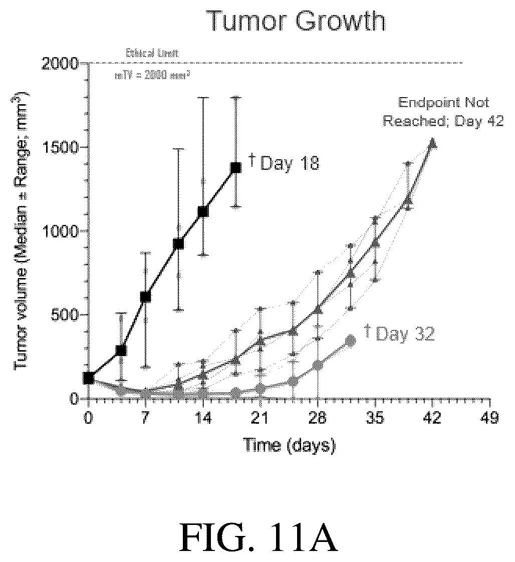 Patent US12351566 Figure 13 – MEK inhibitors and therapeutic uses thereof