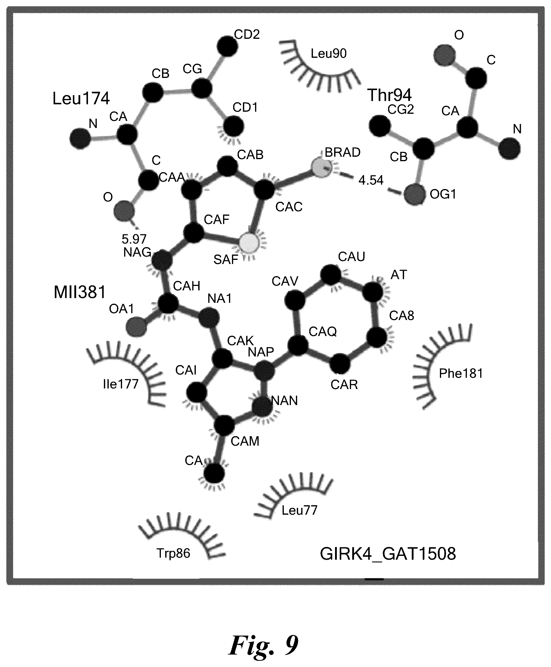 Patent US12351574 Figure 8 – Selective ligands for modulation of GIRK channels