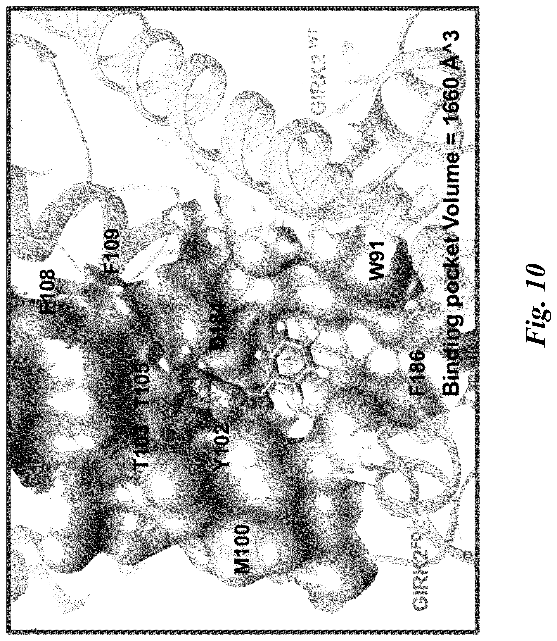 Patent US12351574 Figure 9 – Selective ligands for modulation of GIRK channels