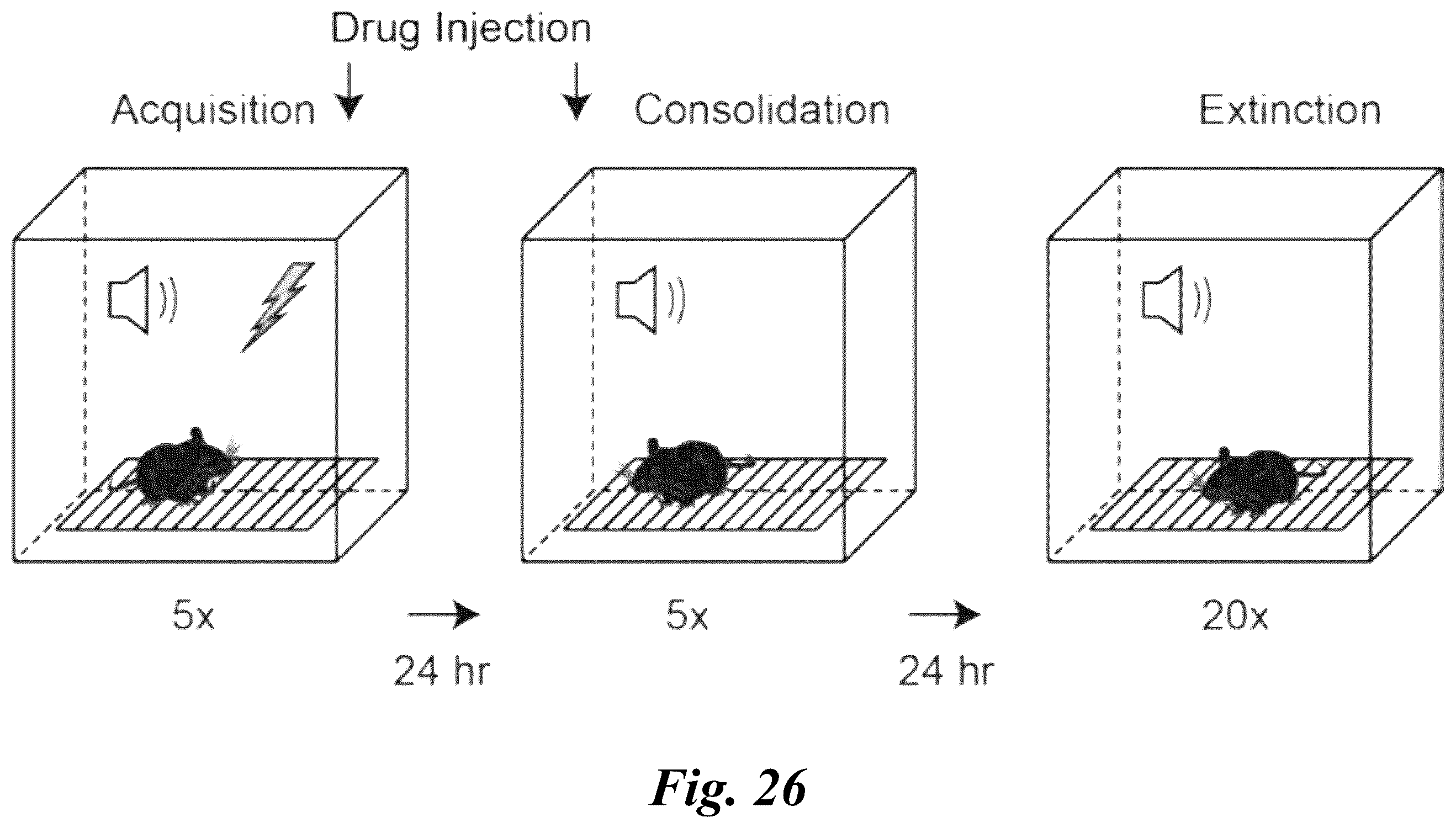 Patent US12351574 Figure 20 – Selective ligands for modulation of GIRK channels