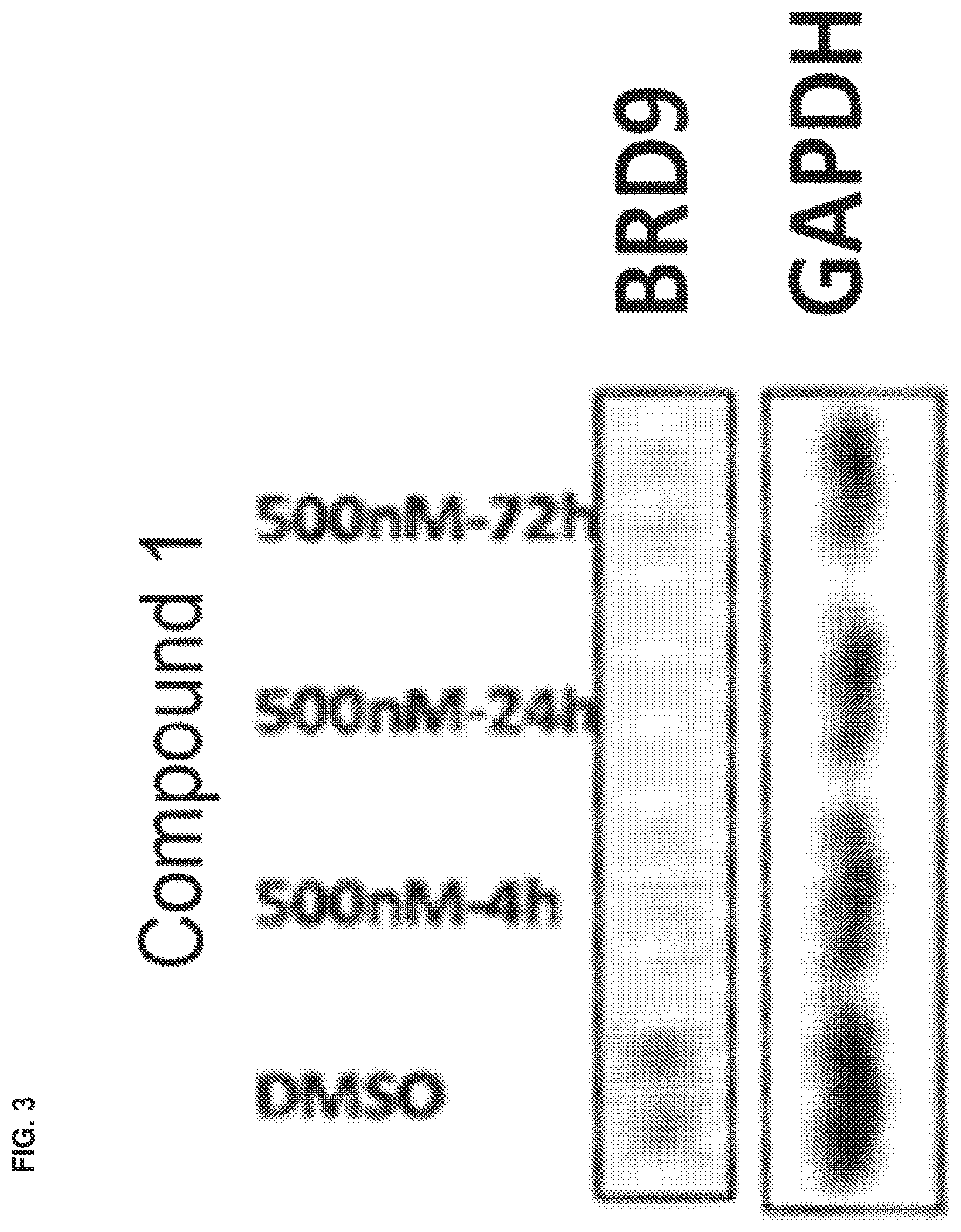 Patent US12351579 Figure 3 – Compounds and uses thereof