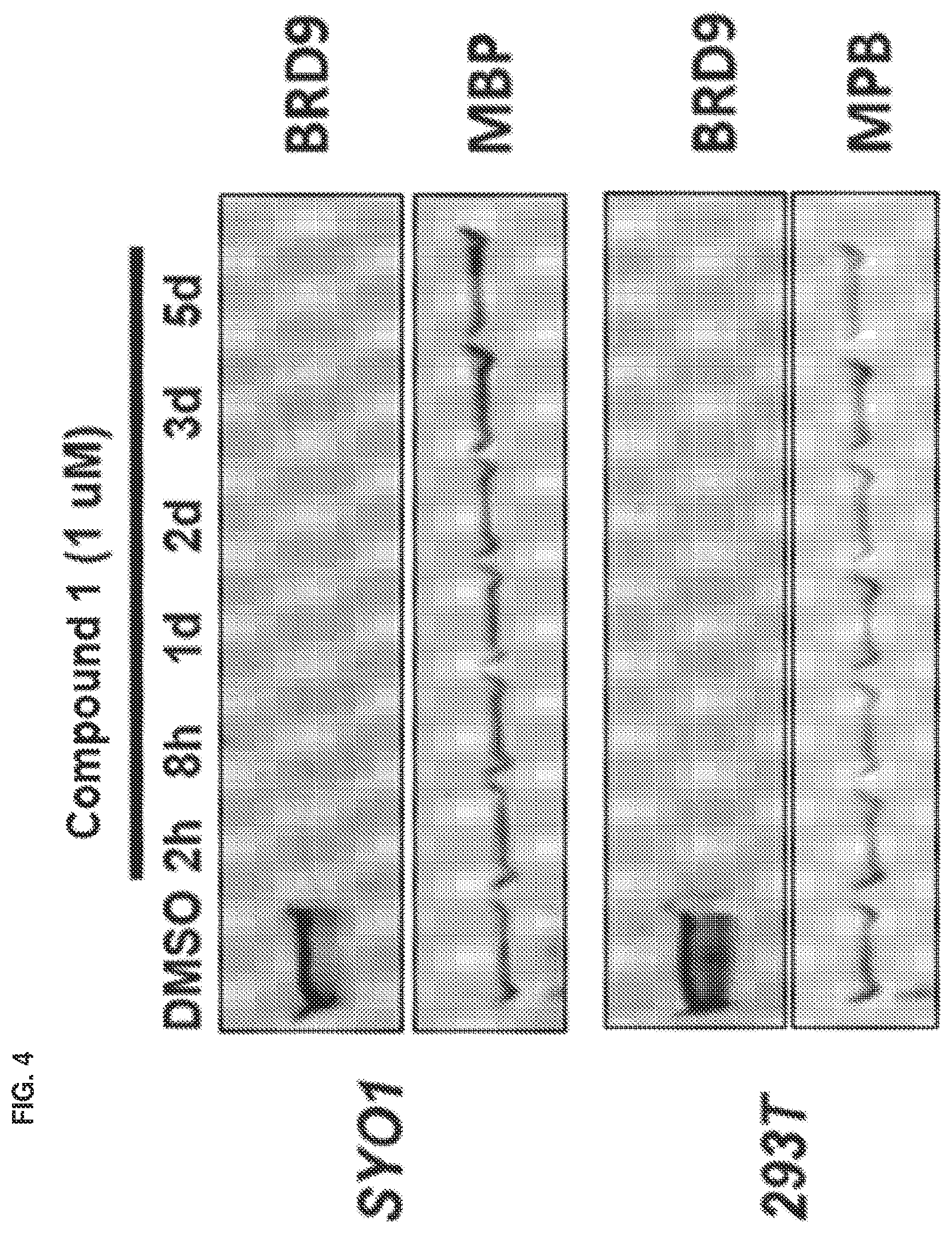 Patent US12351579 Figure 4 – Compounds and uses thereof