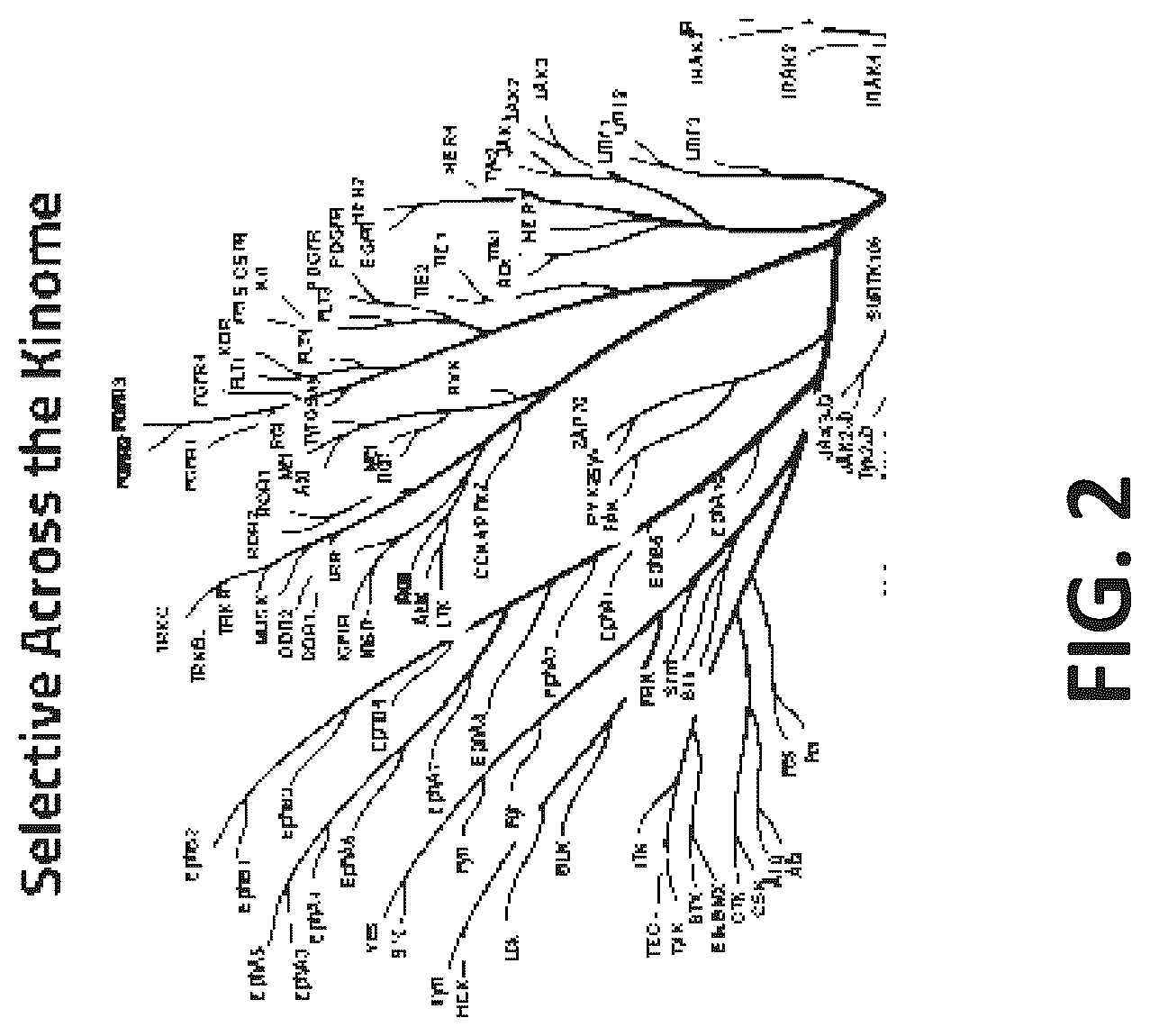 Patent US12351581 Figure 2 – Compounds for FGFR inhibition