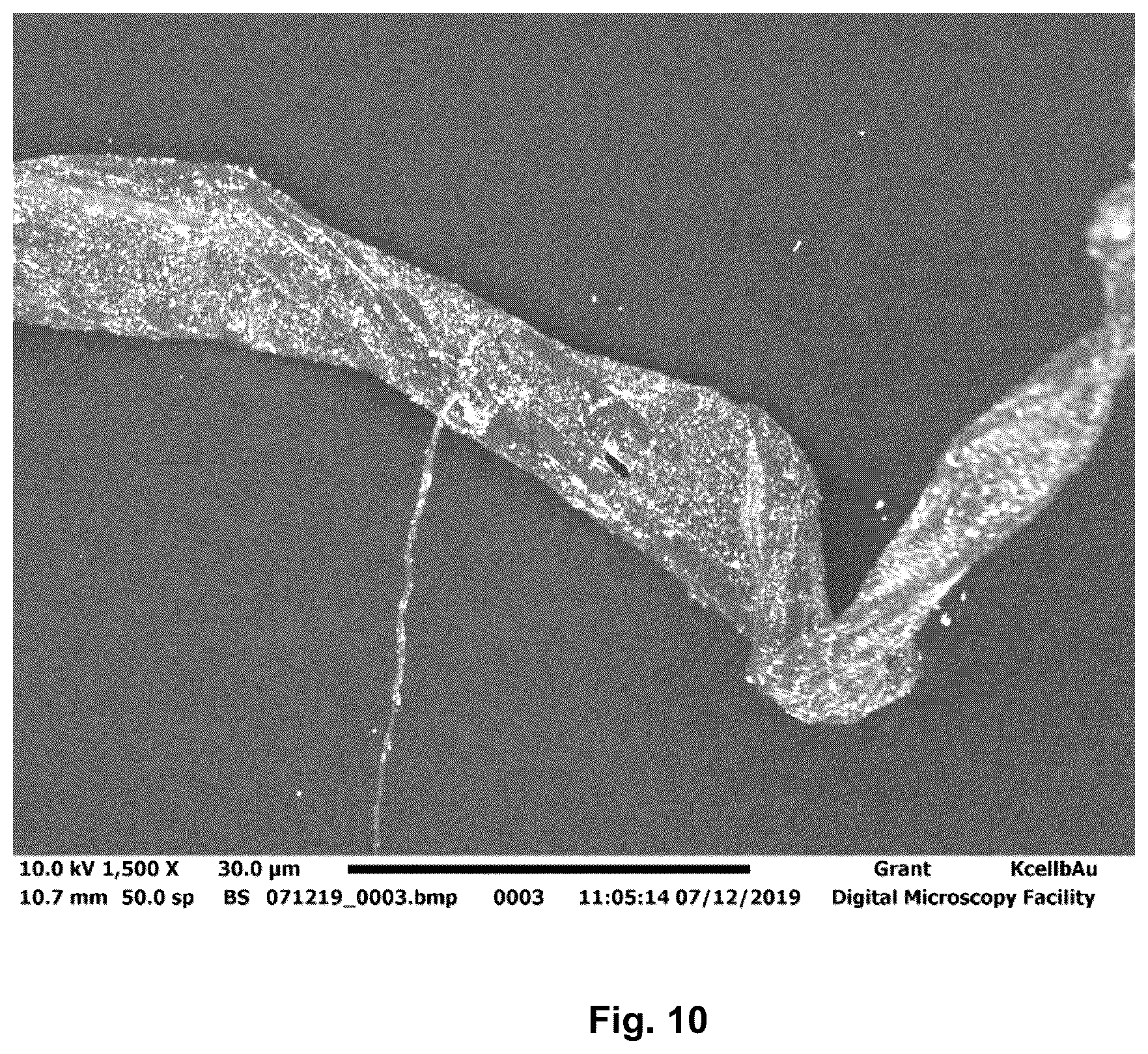 Patent US12351589 Figure 10 – Redox active materials, processes and uses thereof