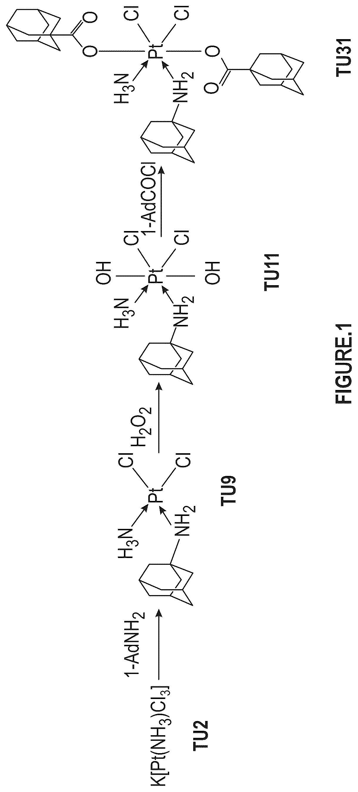 Patent US12351593 — Platinum IV complexes with substantially increased antitumor efficacy — Figure 1