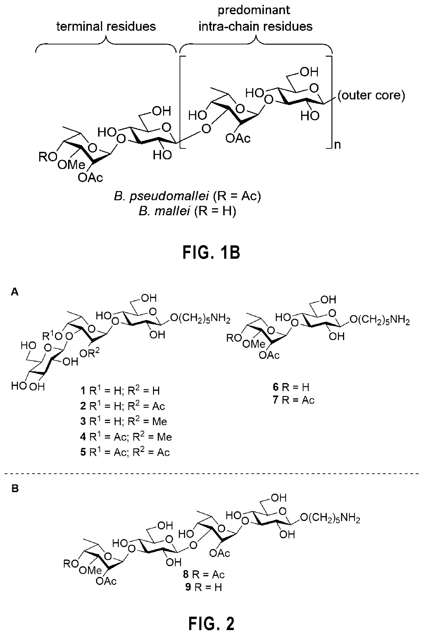 Patent US12351596 Figure 2 – Tetrasaccharides for the diagnosis, prevention, and treatment of melioidosis and glanders