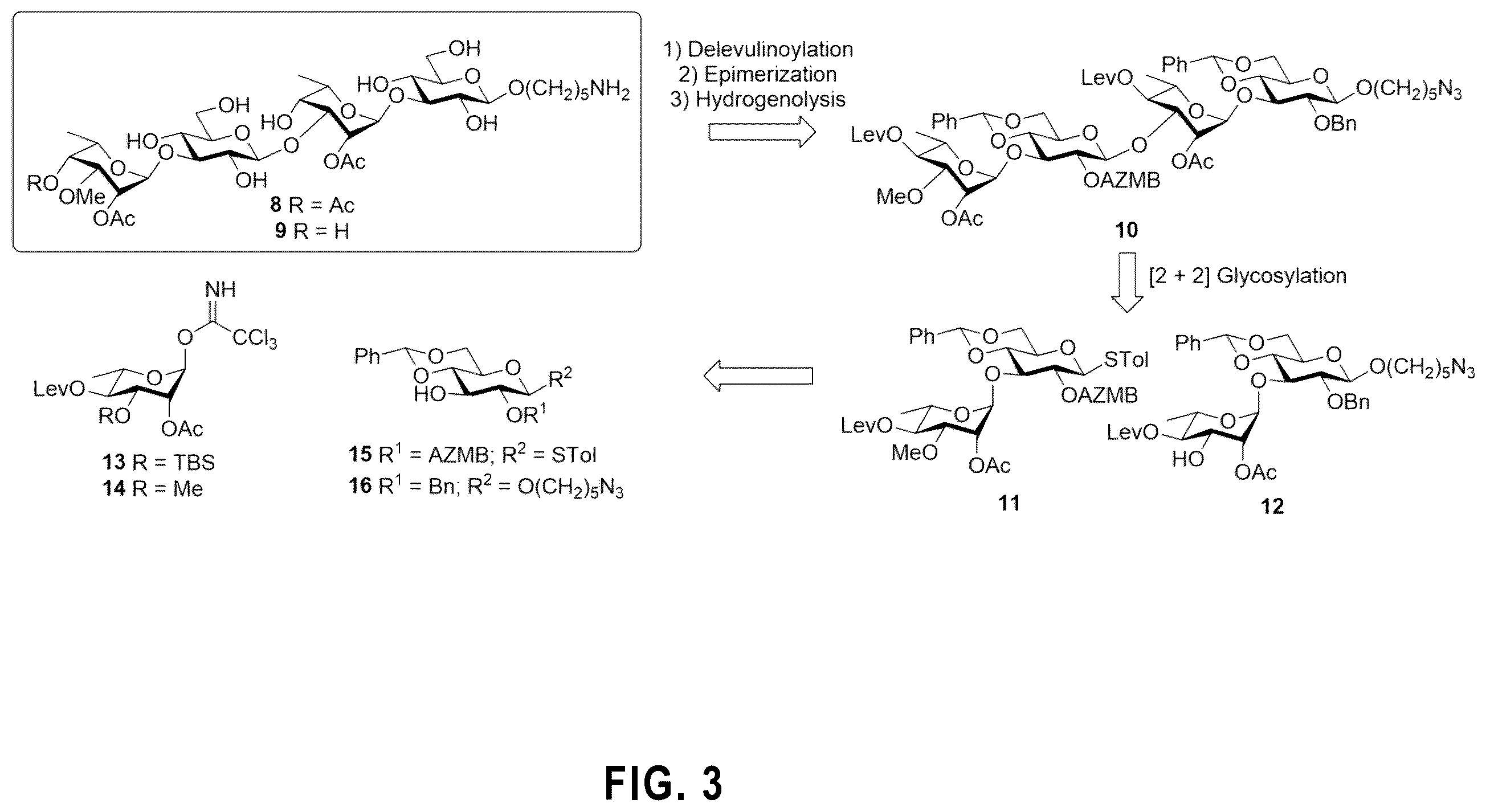 Patent US12351596 Figure 3 – Tetrasaccharides for the diagnosis, prevention, and treatment of melioidosis and glanders