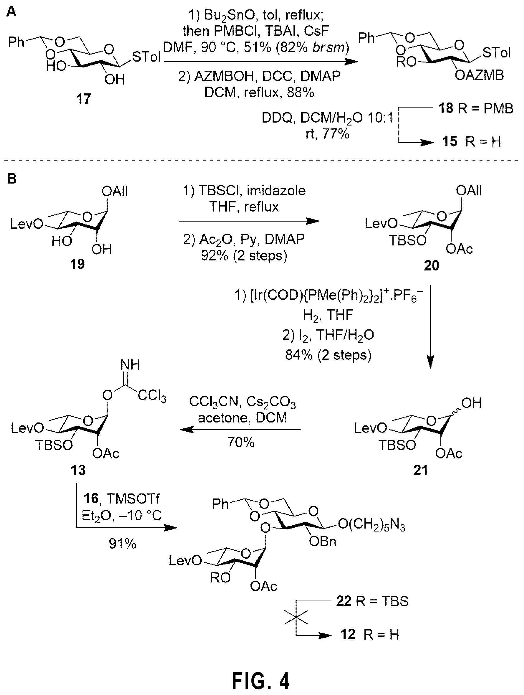 Patent US12351596 Figure 4 – Tetrasaccharides for the diagnosis, prevention, and treatment of melioidosis and glanders