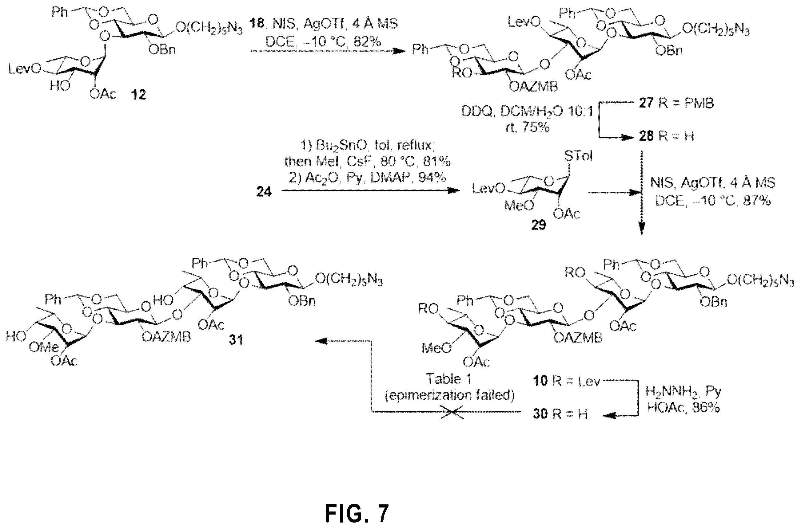 Patent US12351596 Figure 6 – Tetrasaccharides for the diagnosis, prevention, and treatment of melioidosis and glanders