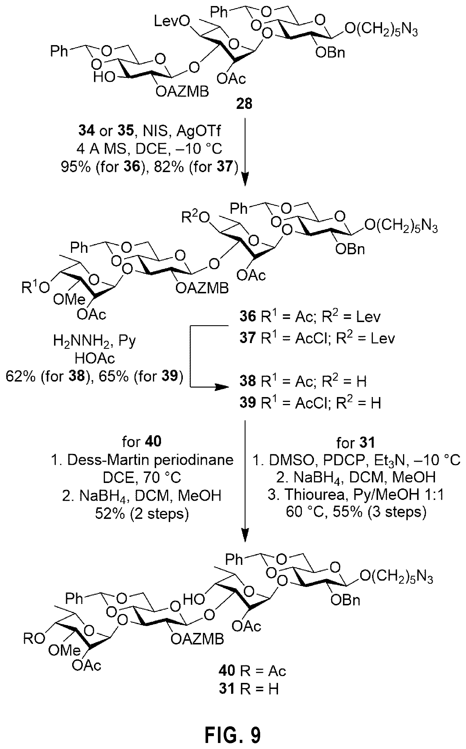 Patent US12351596 Figure 8 – Tetrasaccharides for the diagnosis, prevention, and treatment of melioidosis and glanders