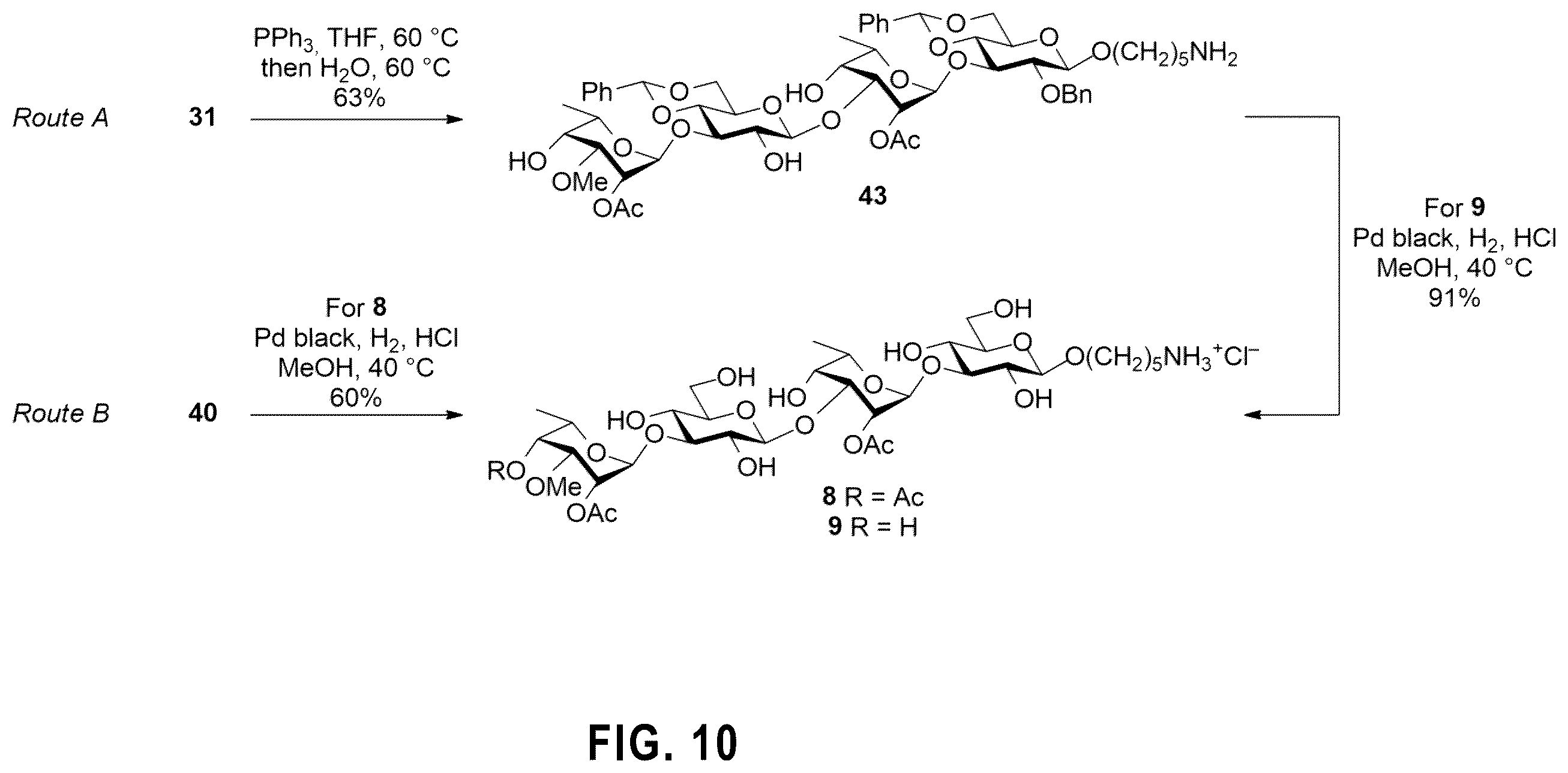 Patent US12351596 Figure 9 – Tetrasaccharides for the diagnosis, prevention, and treatment of melioidosis and glanders