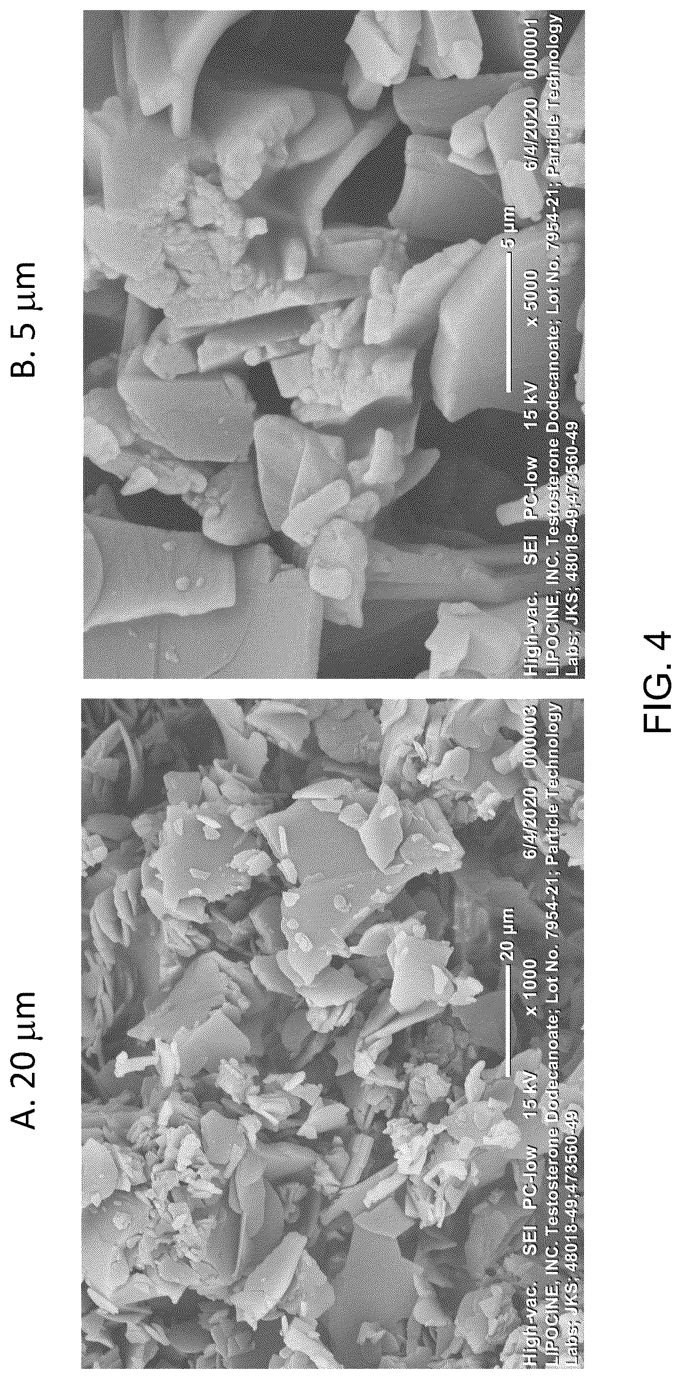 Patent US12351600 Figure 4 – (17-)-3-oxoandrost-4-en-17-yl dodecanoate compositions and methods of preparation and use