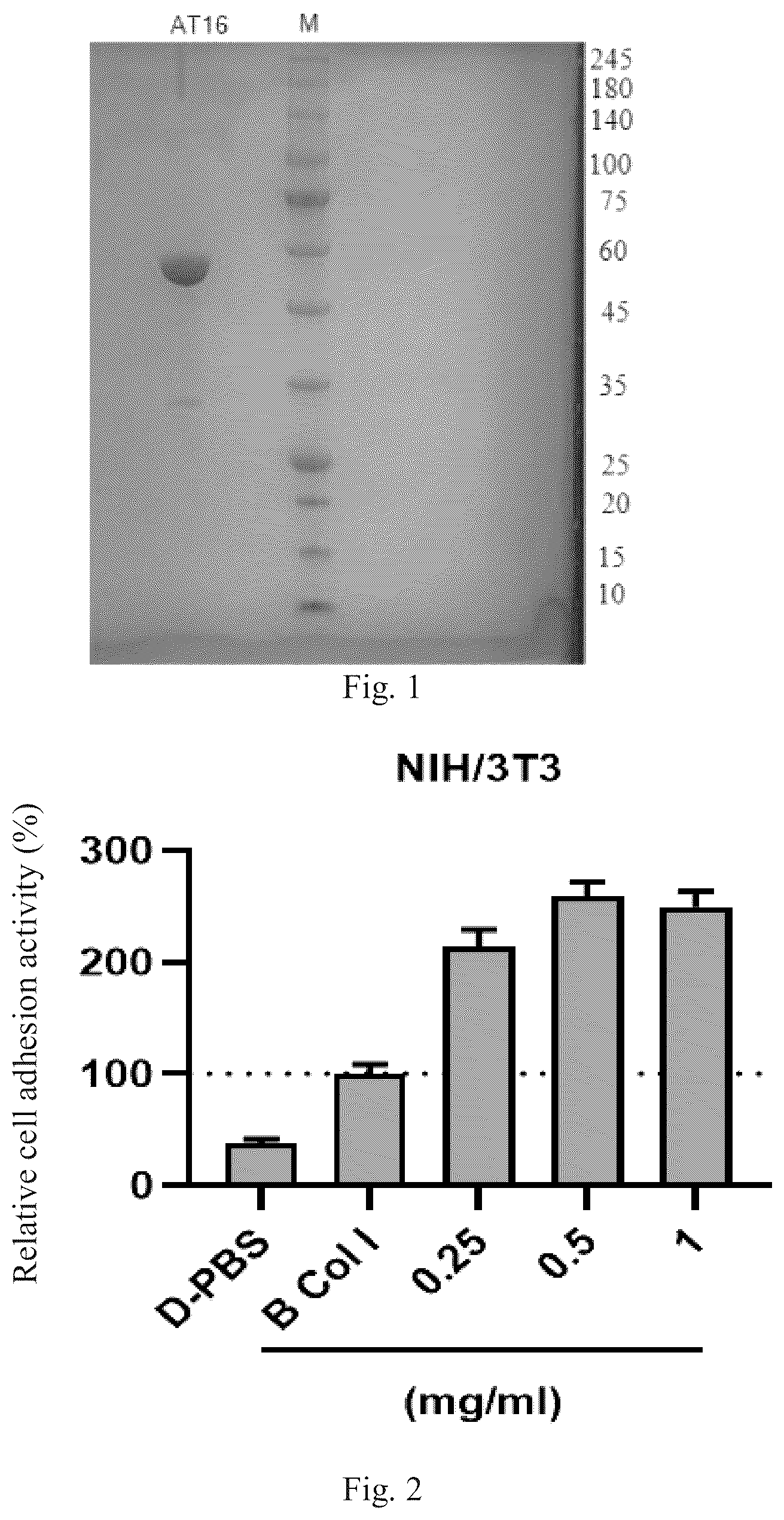Patent US12351603 — Polypeptides and uses thereof — Figure 1