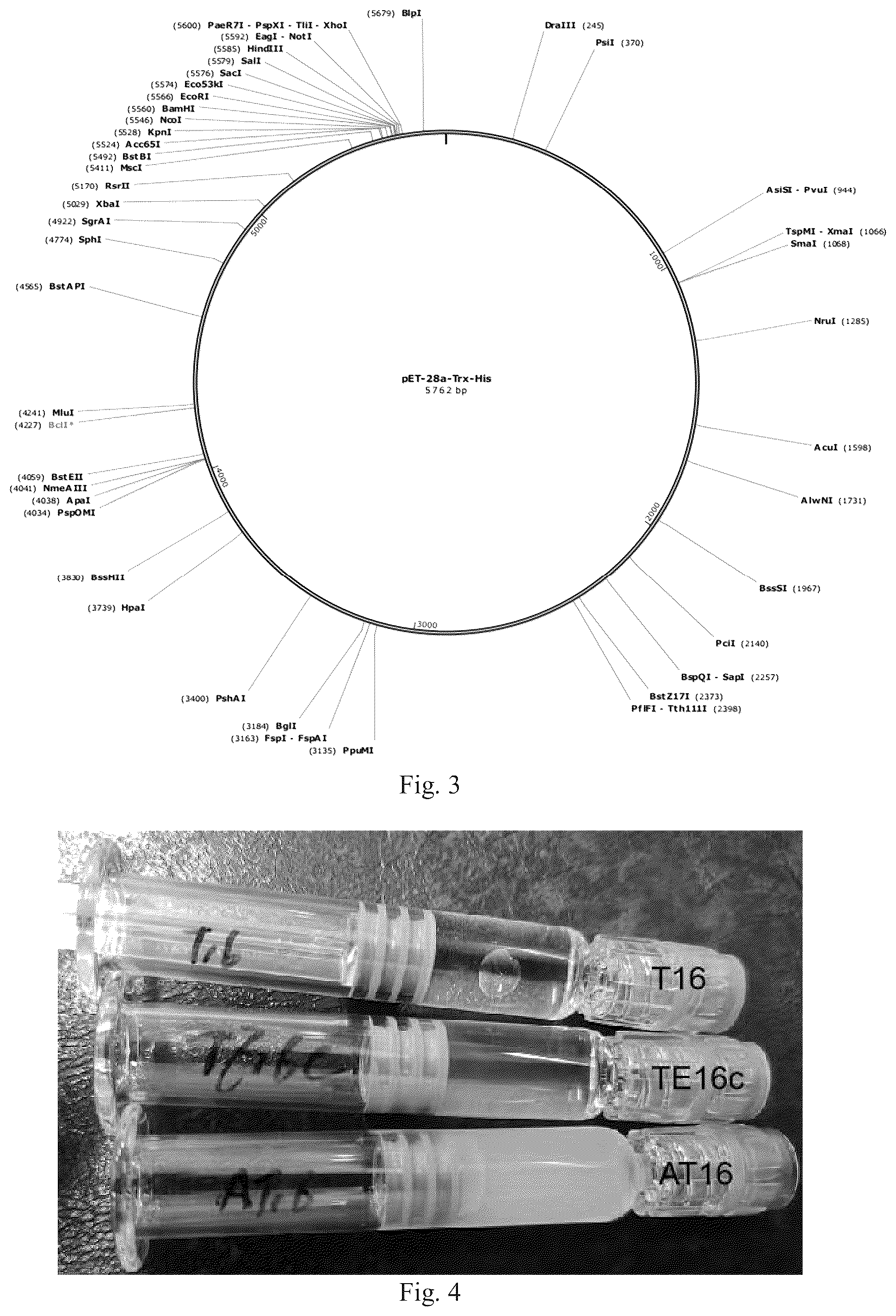 Patent US12351603 Figure 2 – Polypeptides and uses thereof