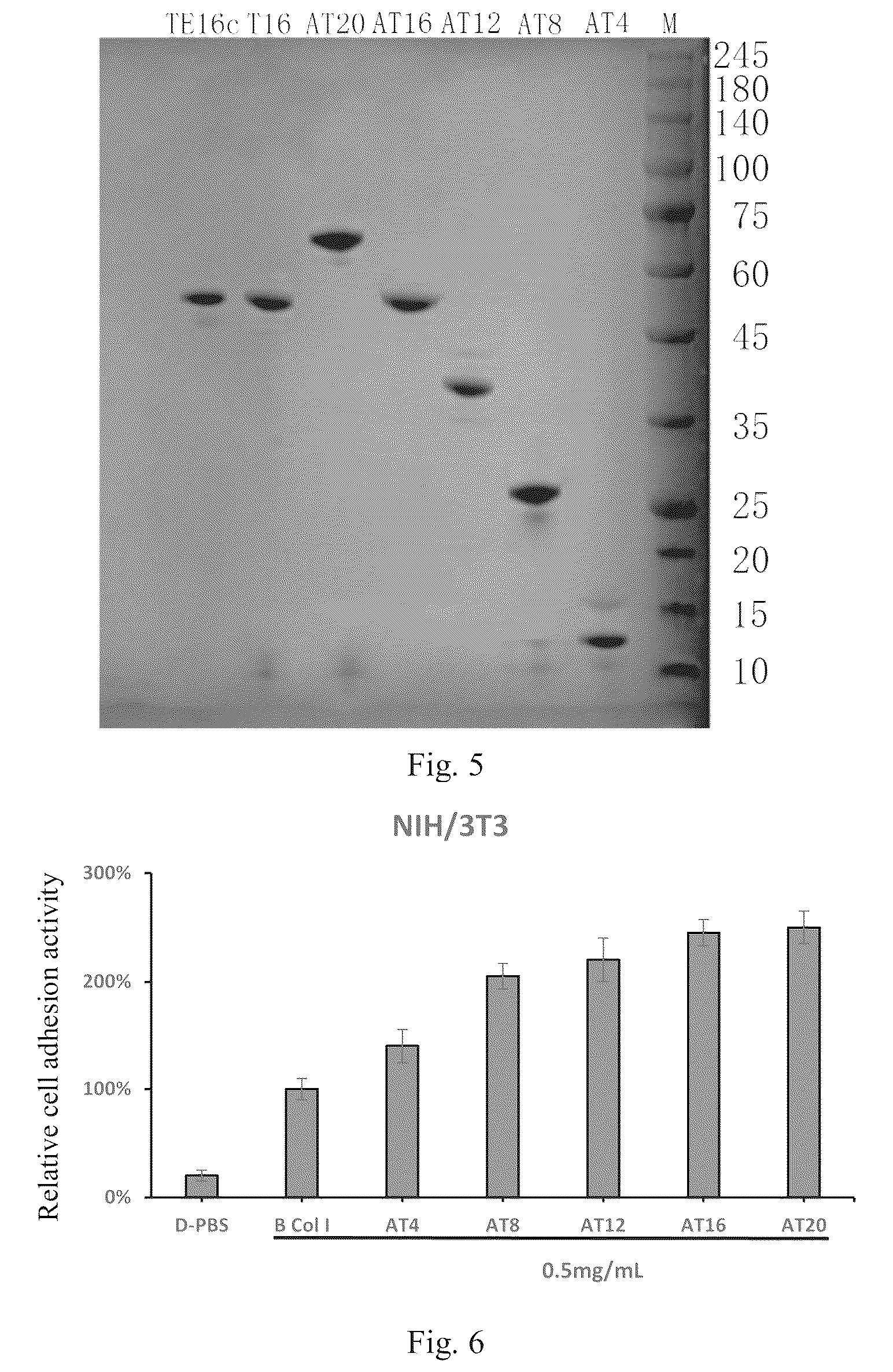 Patent US12351603 Figure 3 – Polypeptides and uses thereof