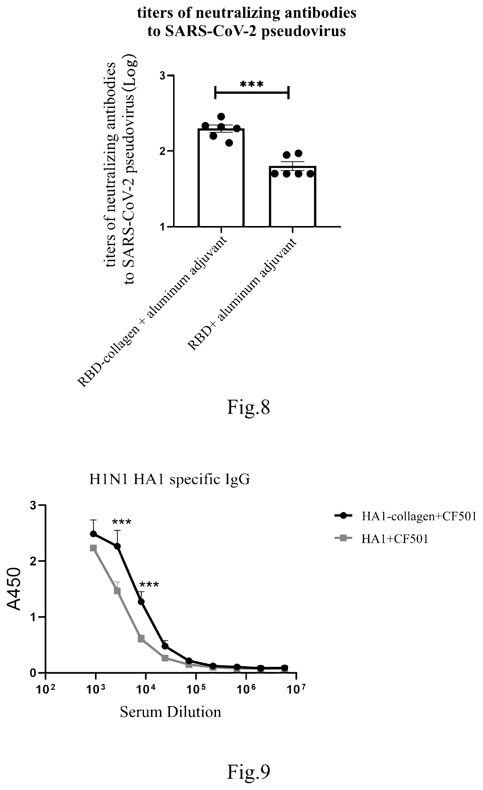 Patent US12351604 Figure 5 – Fusion protein and use thereof