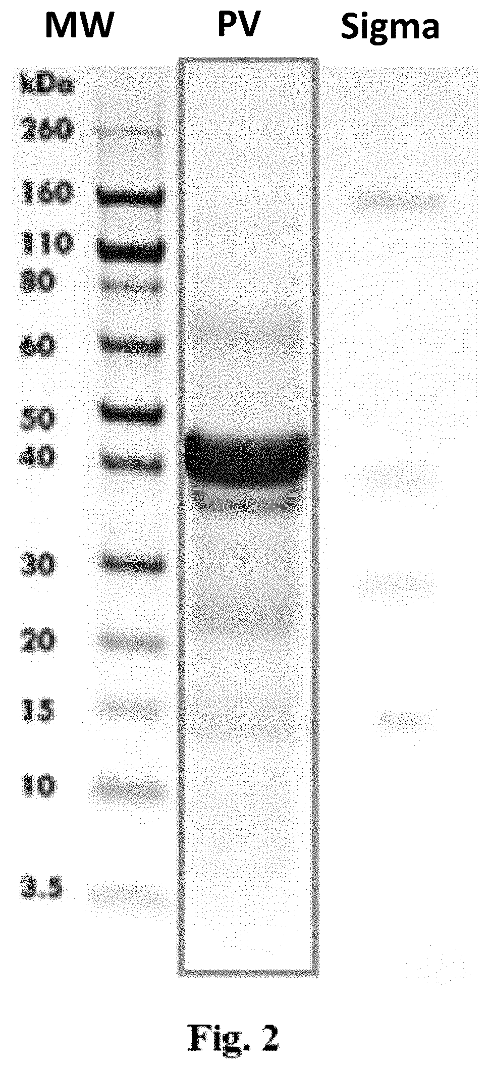 Patent US12351608 Figure 2 – Methods of separating phosvitin and HDL from an egg yolk product and resulting compositions