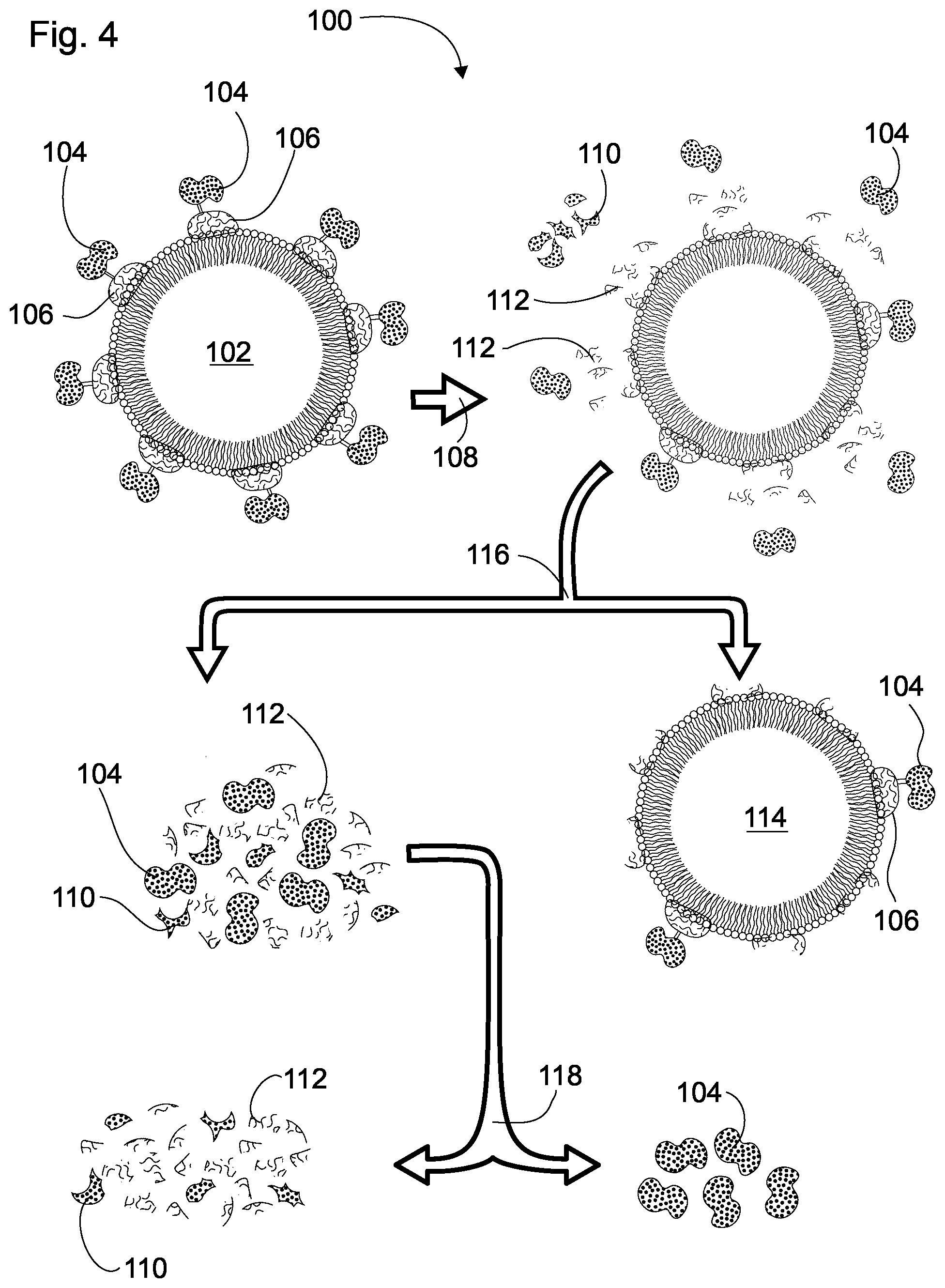 Patent US12351608 Figure 4 – Methods of separating phosvitin and HDL from an egg yolk product and resulting compositions