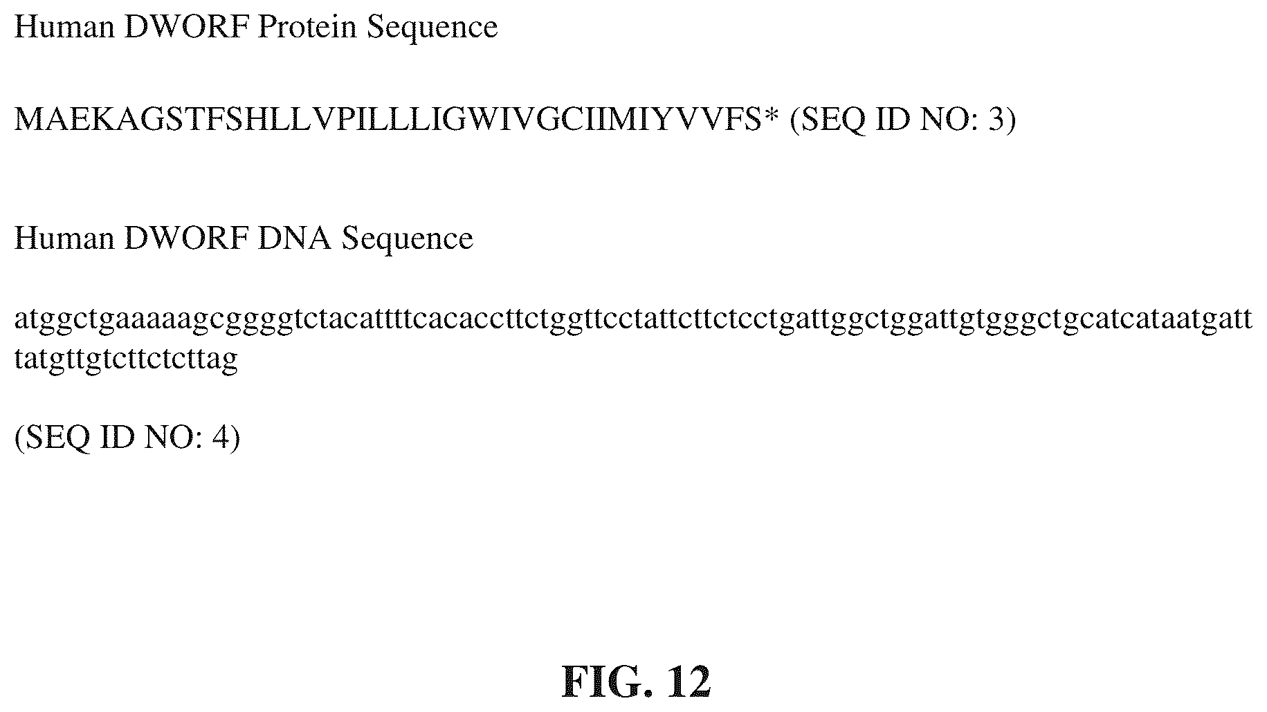 Patent US12351609 Figure 11 – Use of a small native peptide activator of SERCA pump for treatment of heart failure and other disorders characterized by cytosolic calcium overload