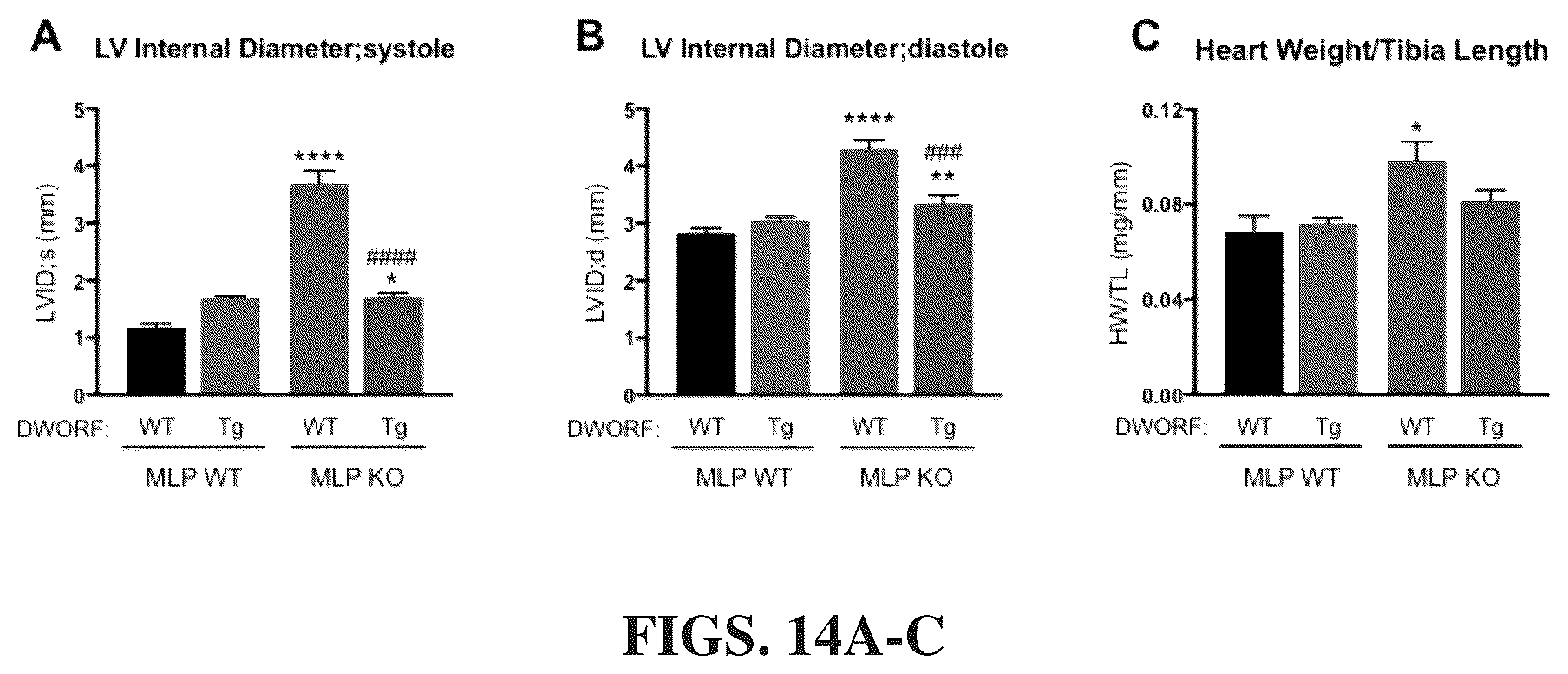 Patent US12351609 Figure 13 – Use of a small native peptide activator of SERCA pump for treatment of heart failure and other disorders characterized by cytosolic calcium overload