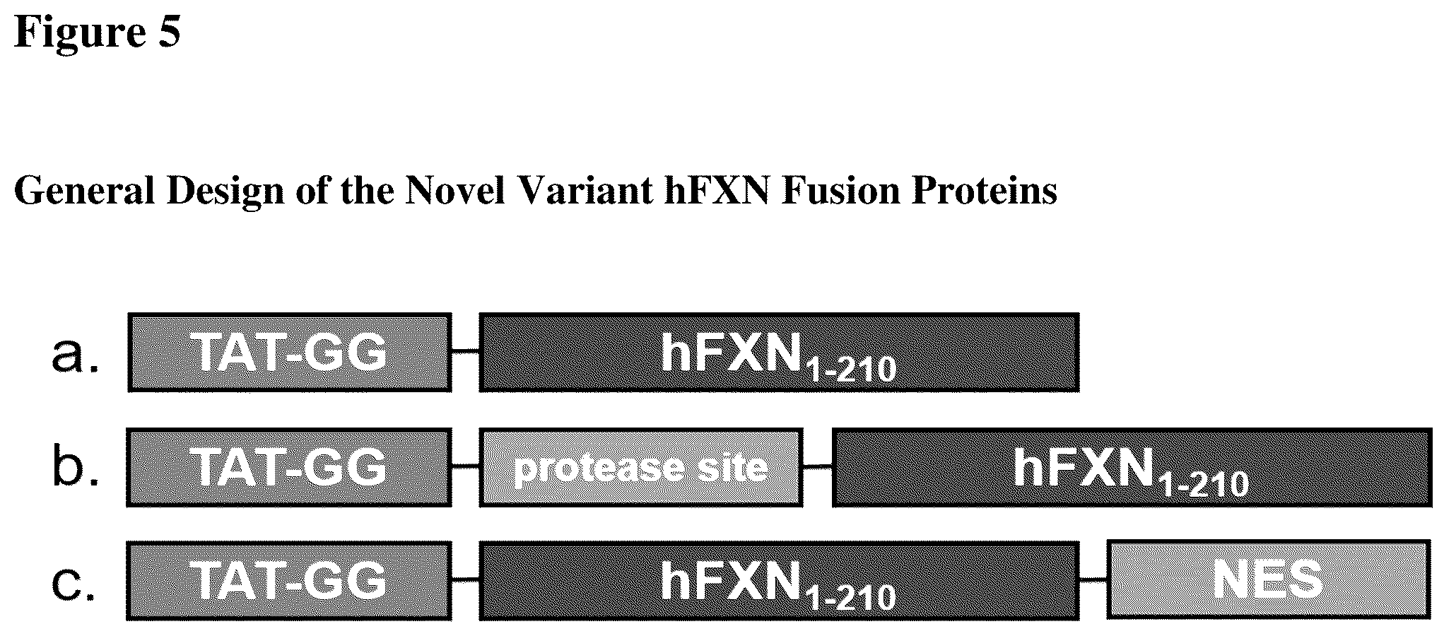 Patent US12351611 Figure 5 – Molecules for organelle-specific protein delivery