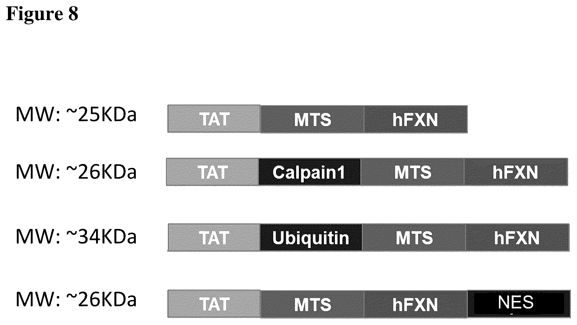 Patent US12351611 Figure 9 – Molecules for organelle-specific protein delivery