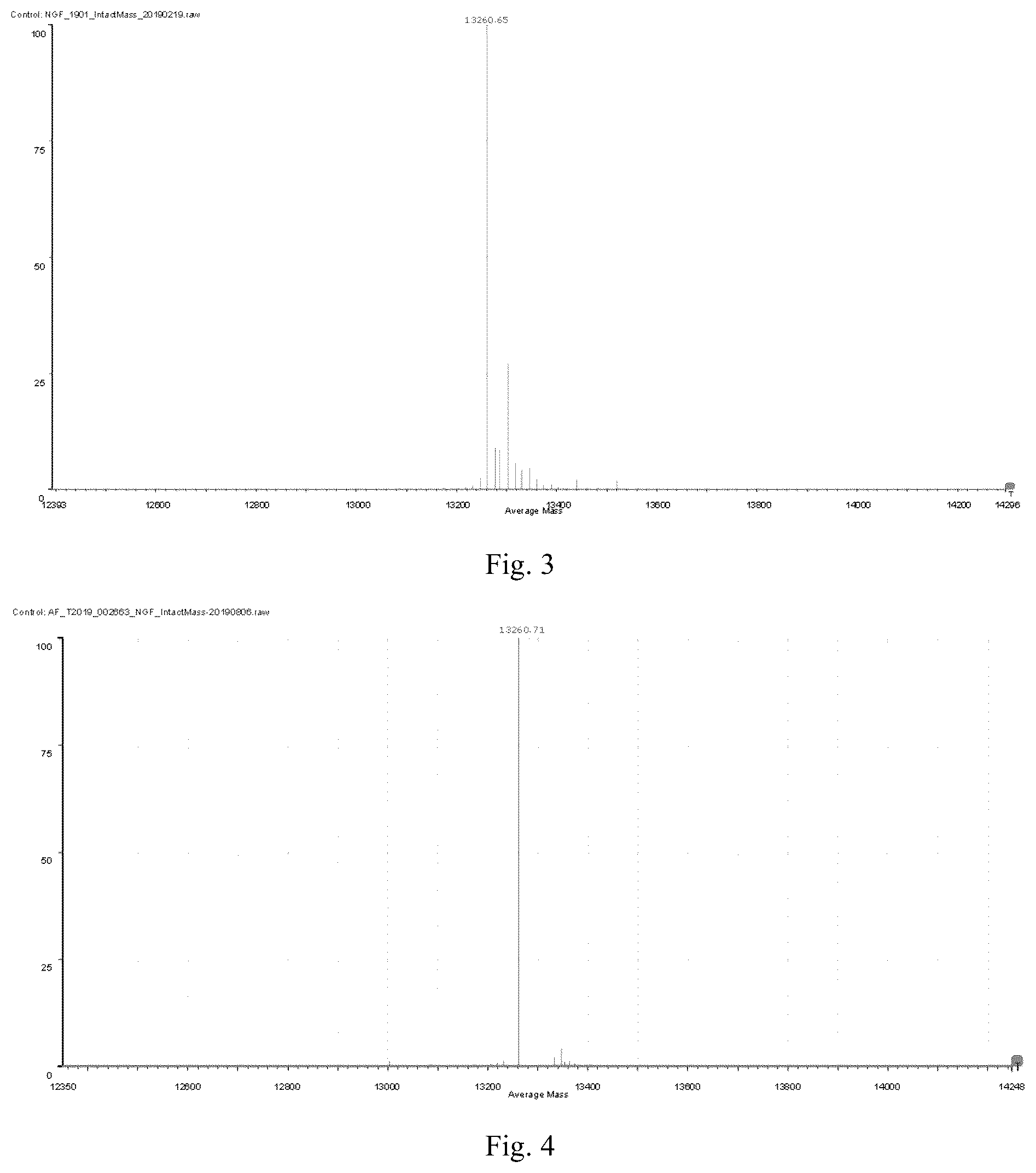 Patent US12351612 Figure 2 – Method for preparing recombinant human nerve growth factor