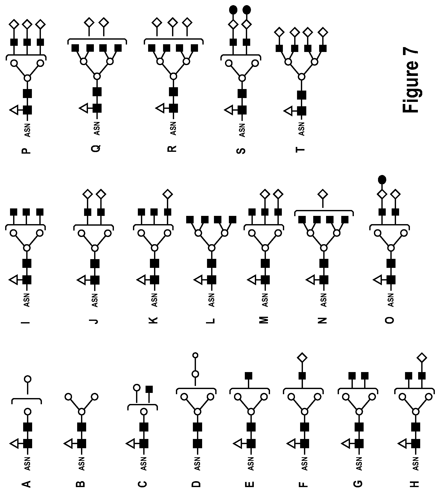 Patent US12351613 Figure 7 – Production of glycoproteins using manganese