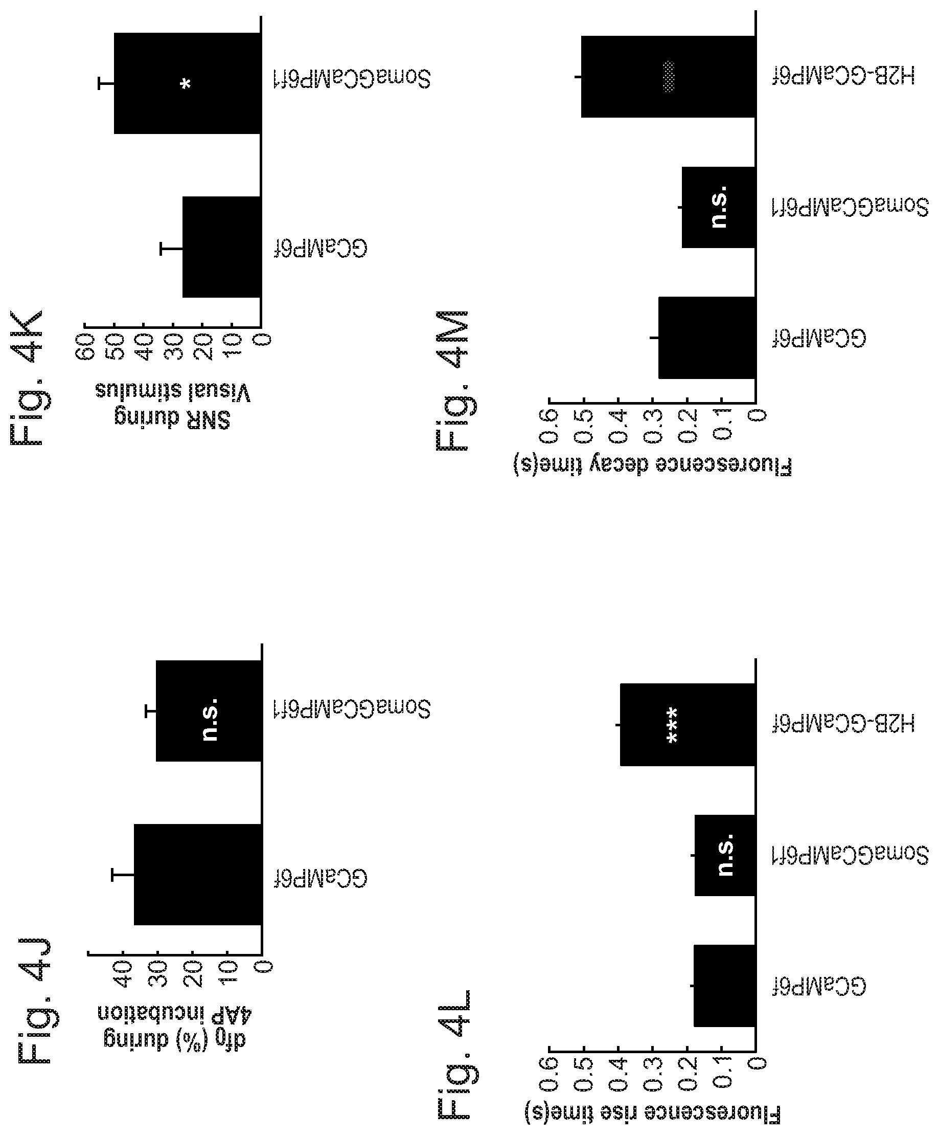 Patent US12351615 Figure 15 – Cell body targeted sensors
