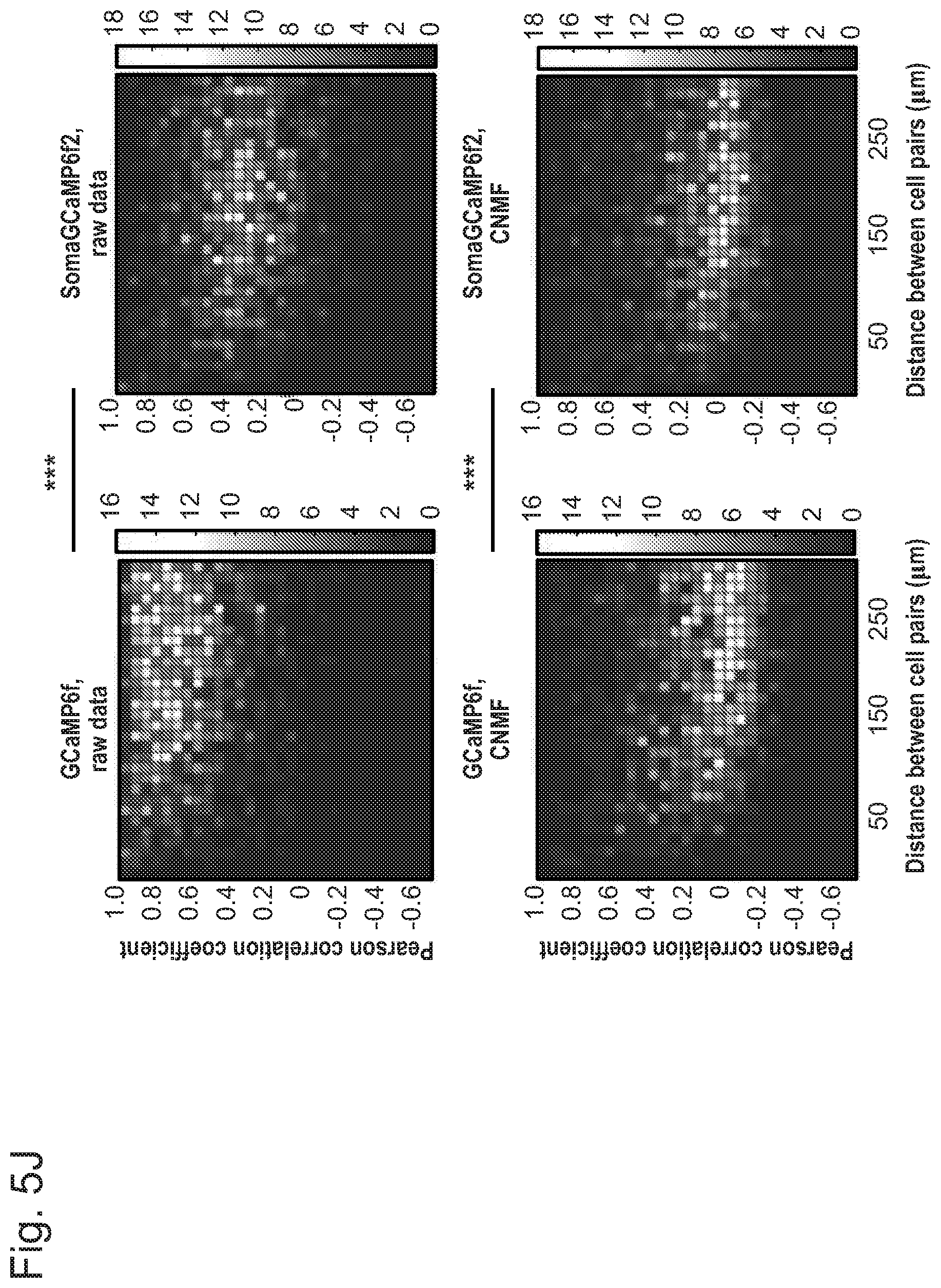 Patent US12351615 Figure 20 – Cell body targeted sensors