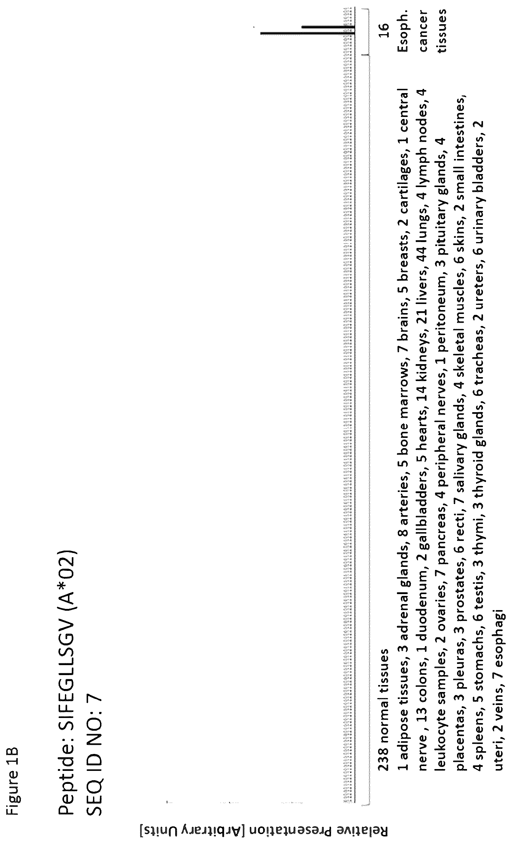 Patent US12351616 Figure 2 – Peptides and combination of peptides for use in immunotherapy against esophageal cancer and other cancers