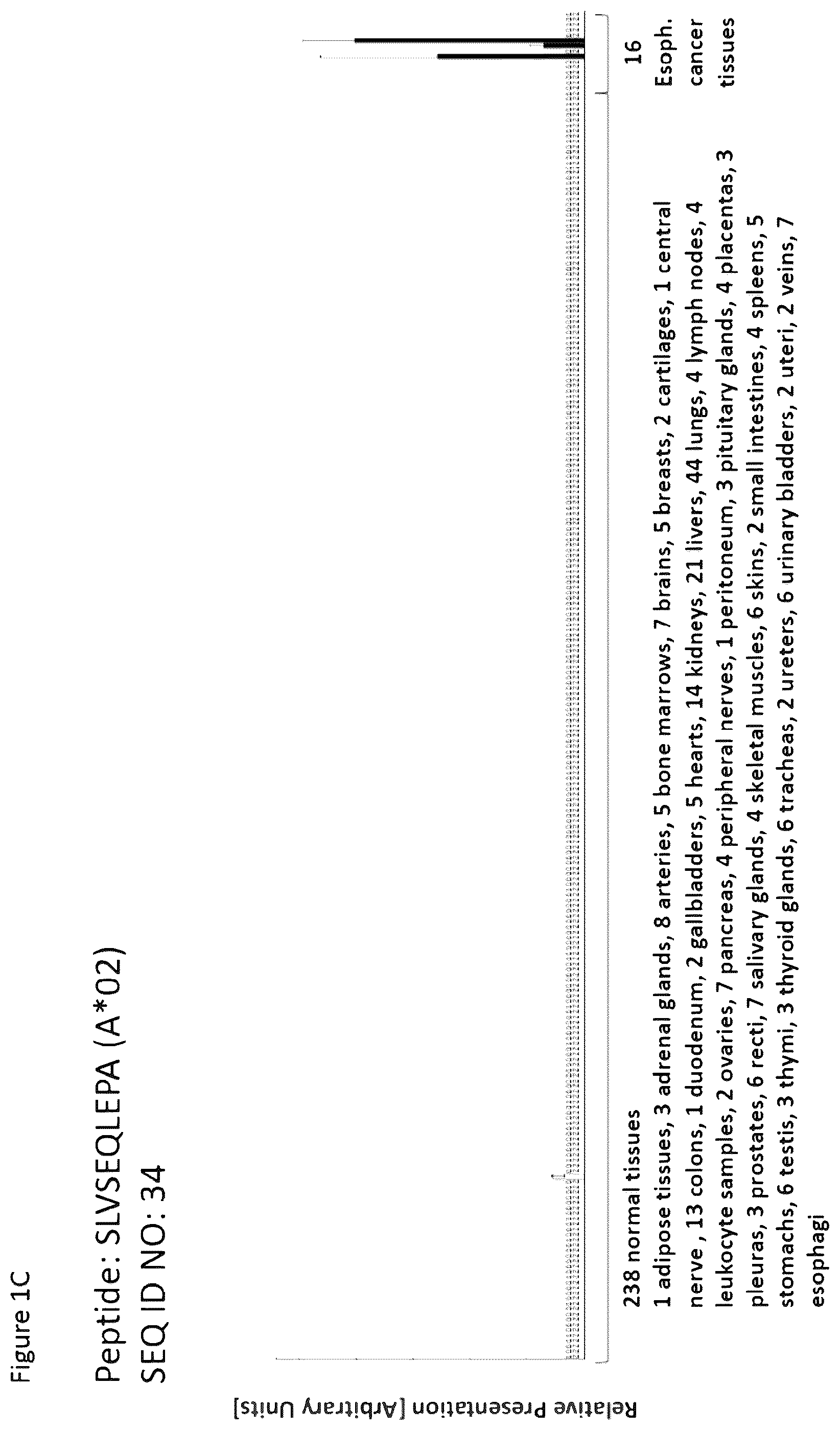 Patent US12351616 Figure 3 – Peptides and combination of peptides for use in immunotherapy against esophageal cancer and other cancers