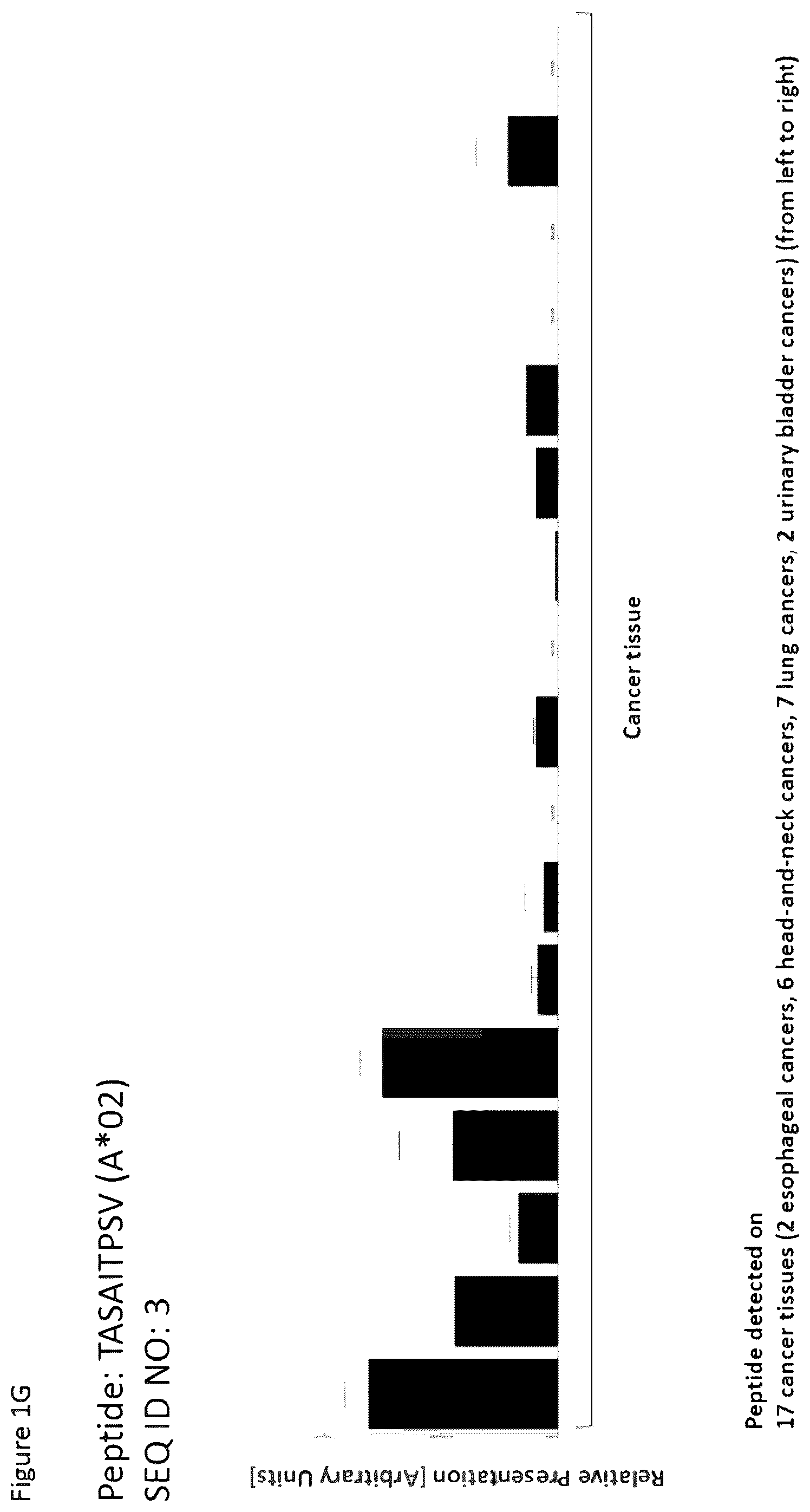 Patent US12351616 Figure 7 – Peptides and combination of peptides for use in immunotherapy against esophageal cancer and other cancers