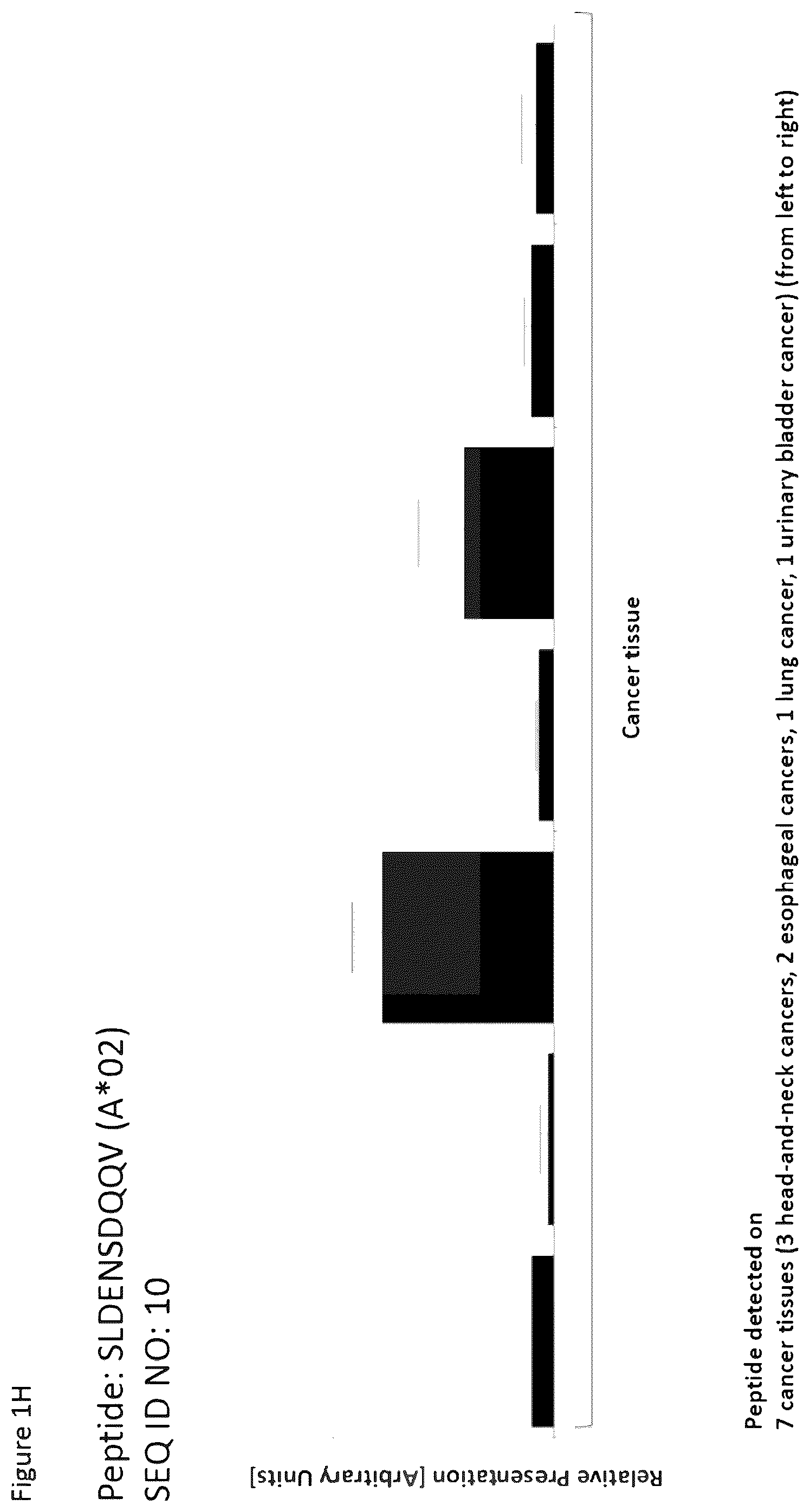 Patent US12351616 Figure 8 – Peptides and combination of peptides for use in immunotherapy against esophageal cancer and other cancers