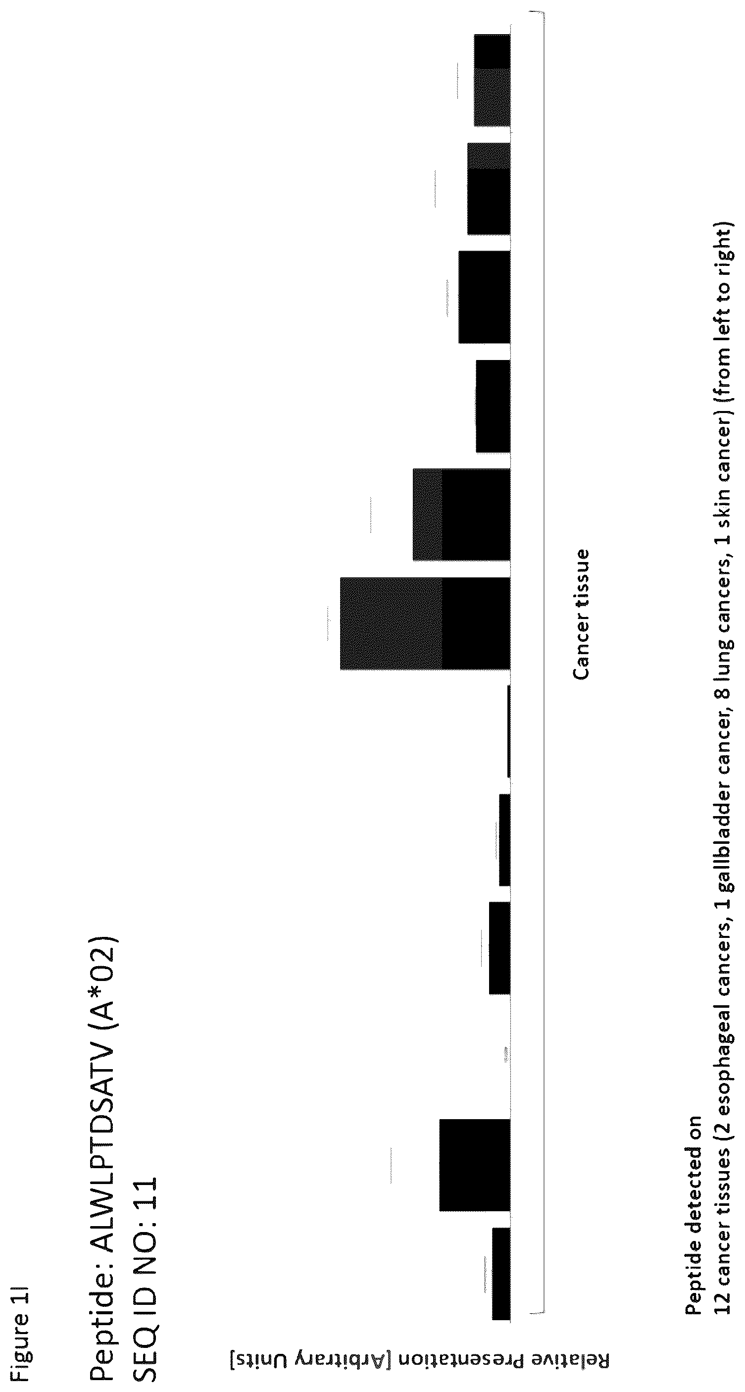 Patent US12351616 Figure 9 – Peptides and combination of peptides for use in immunotherapy against esophageal cancer and other cancers