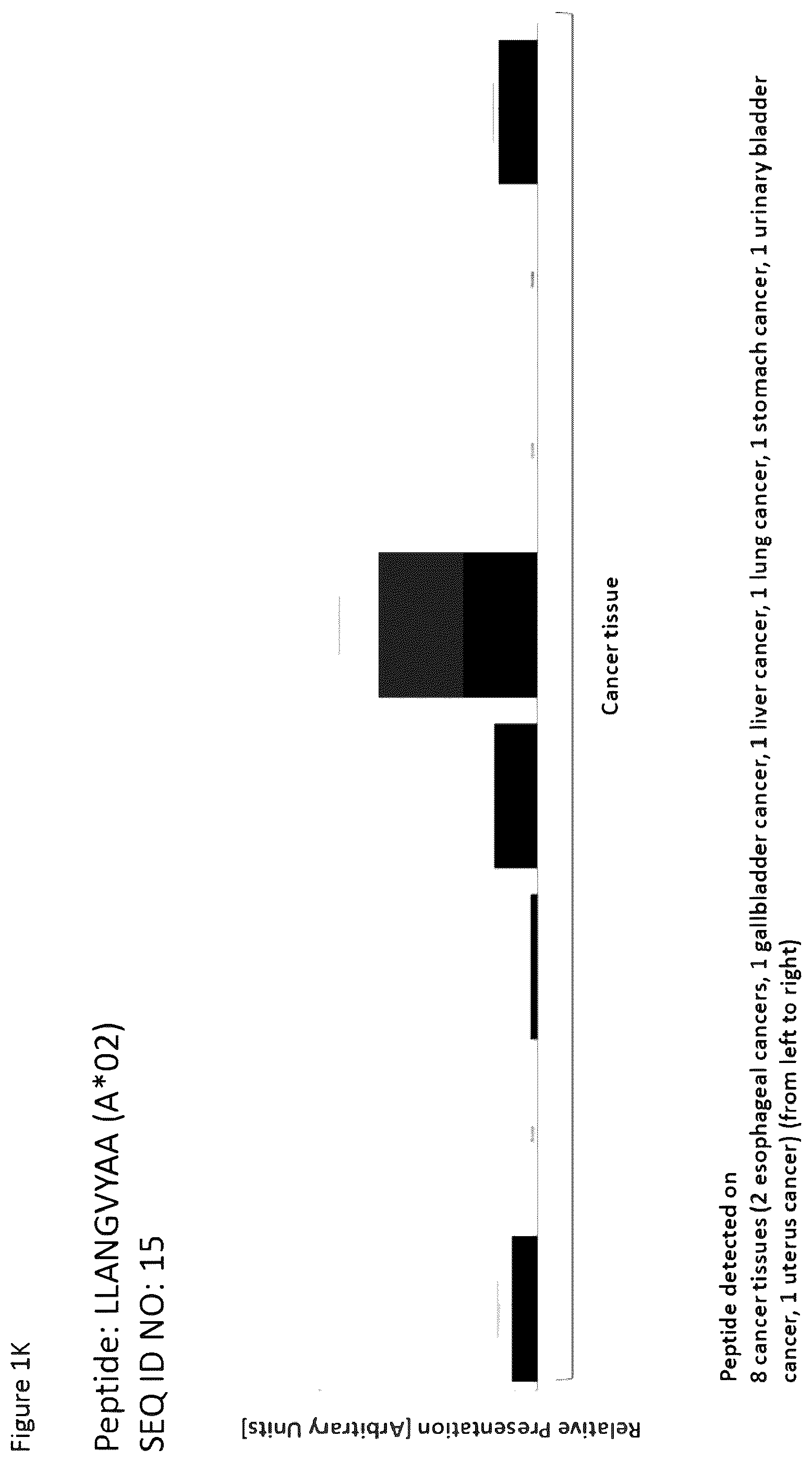 Patent US12351616 Figure 11 – Peptides and combination of peptides for use in immunotherapy against esophageal cancer and other cancers
