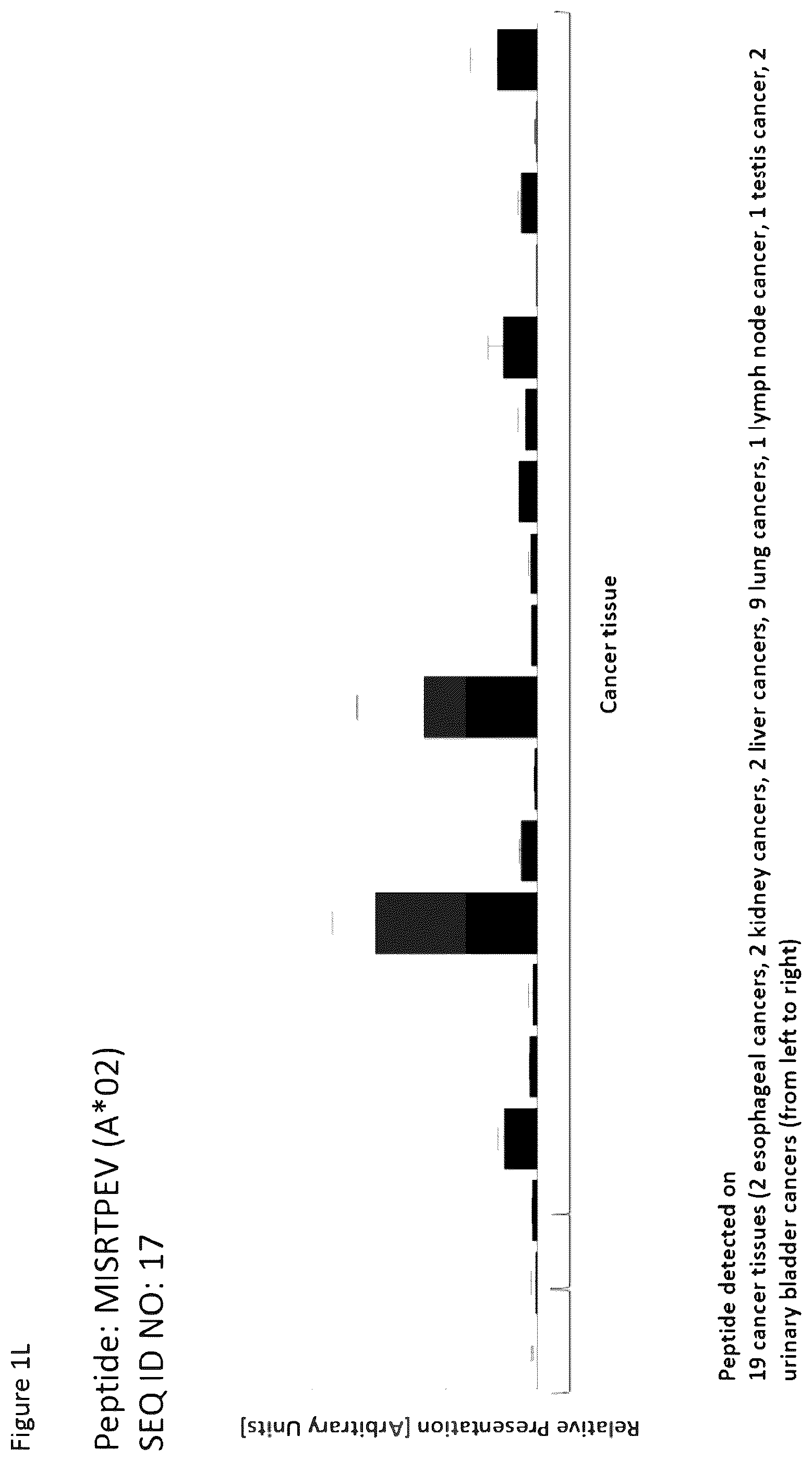 Patent US12351616 Figure 12 – Peptides and combination of peptides for use in immunotherapy against esophageal cancer and other cancers
