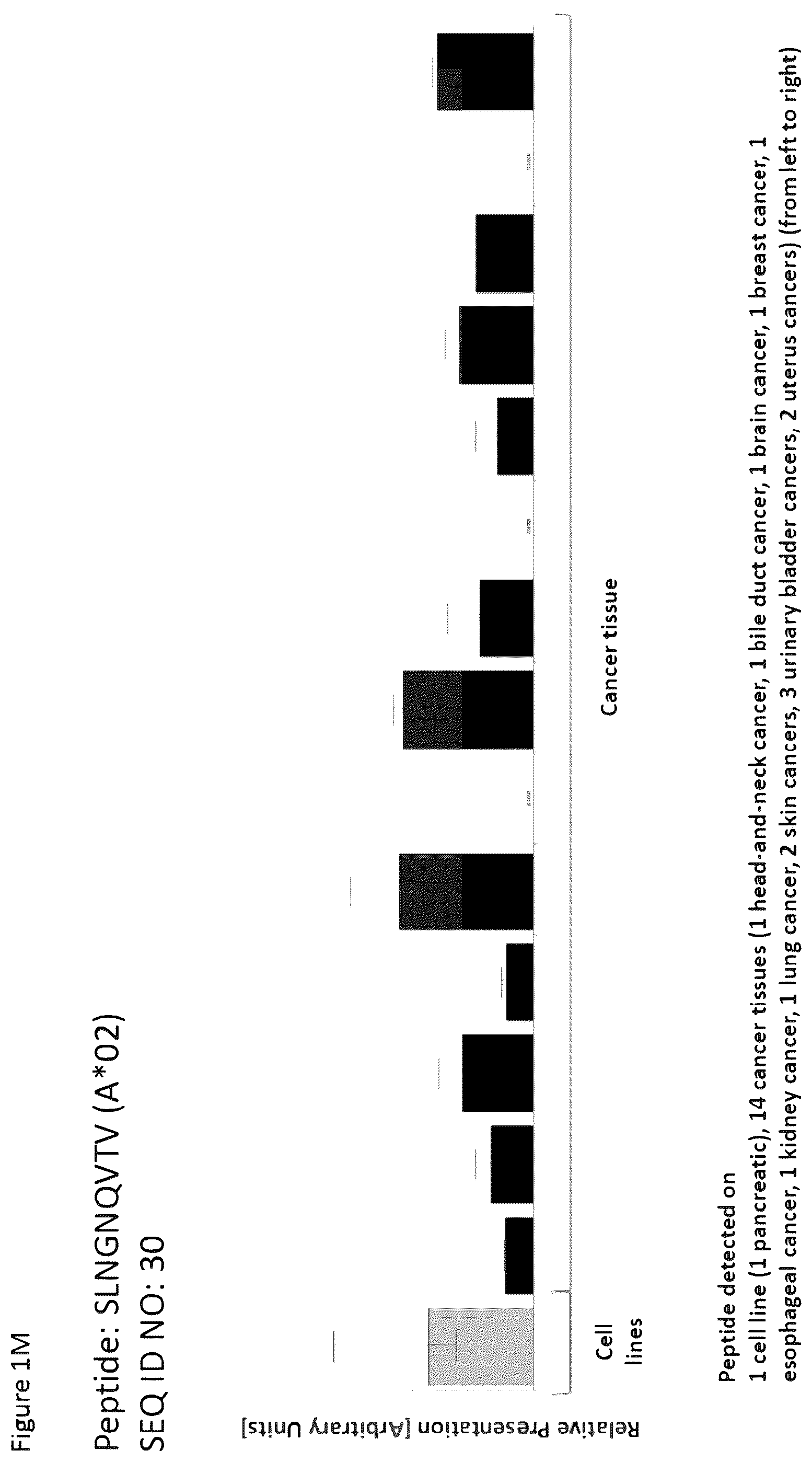 Patent US12351616 Figure 13 – Peptides and combination of peptides for use in immunotherapy against esophageal cancer and other cancers