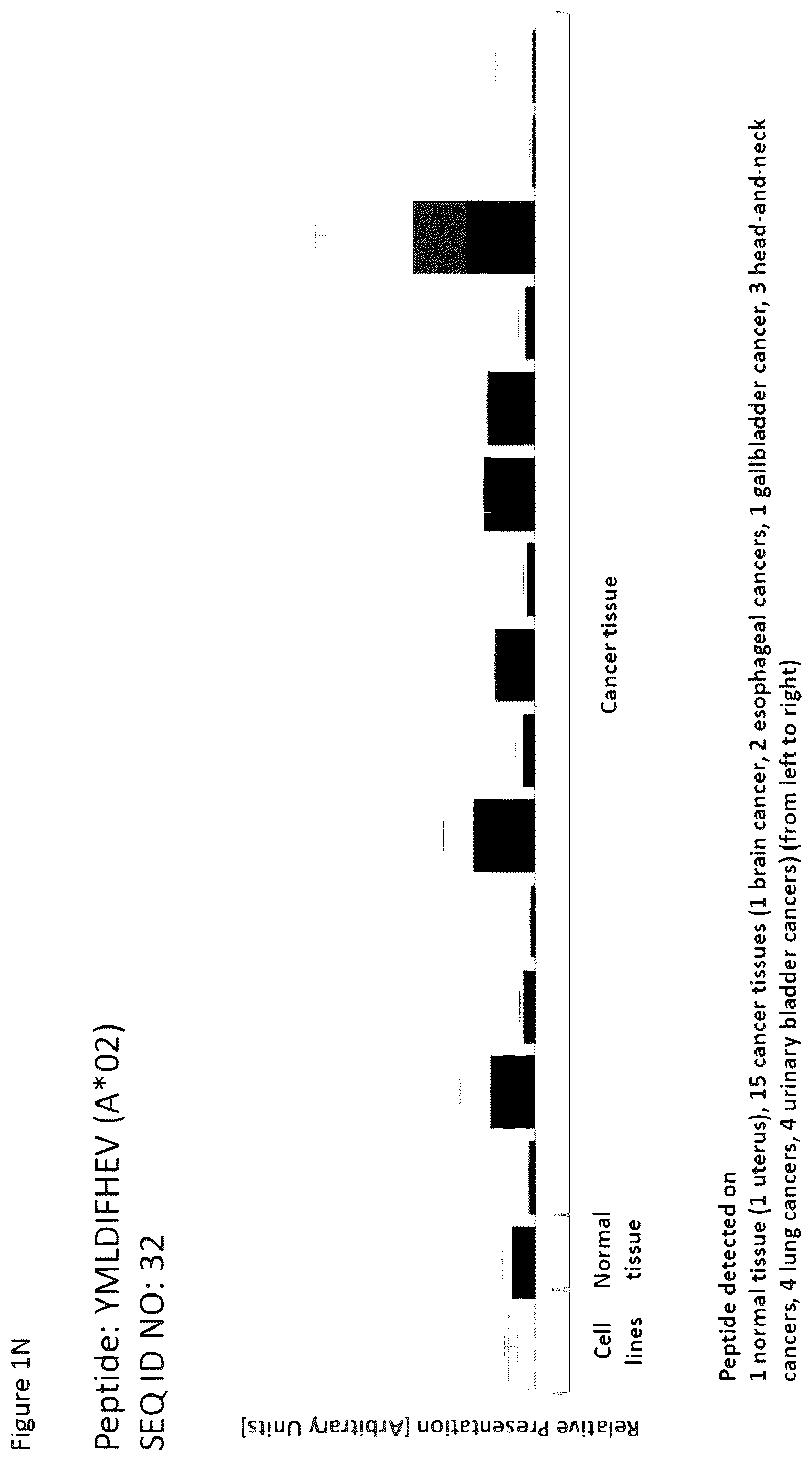 Patent US12351616 Figure 14 – Peptides and combination of peptides for use in immunotherapy against esophageal cancer and other cancers