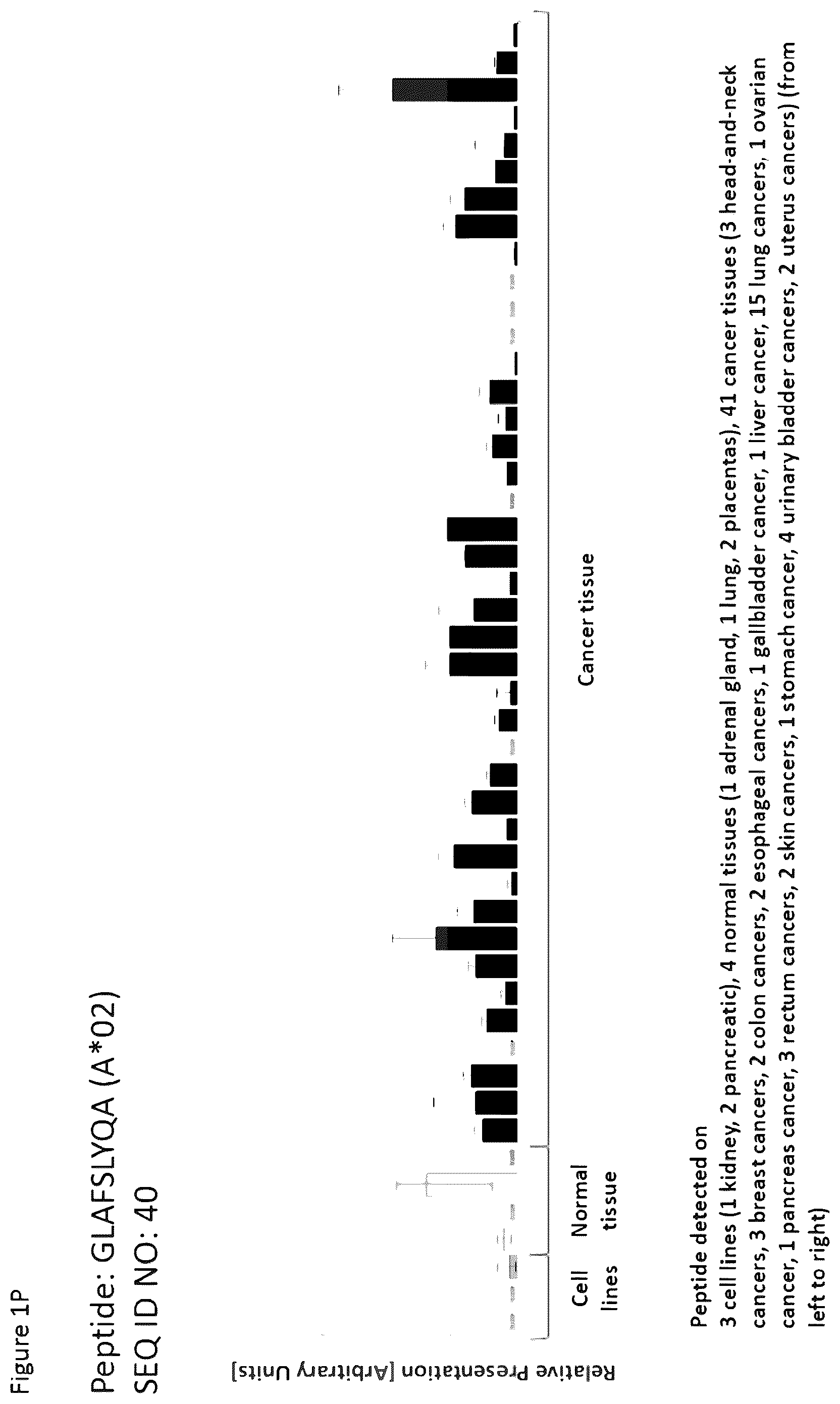 Patent US12351616 Figure 16 – Peptides and combination of peptides for use in immunotherapy against esophageal cancer and other cancers