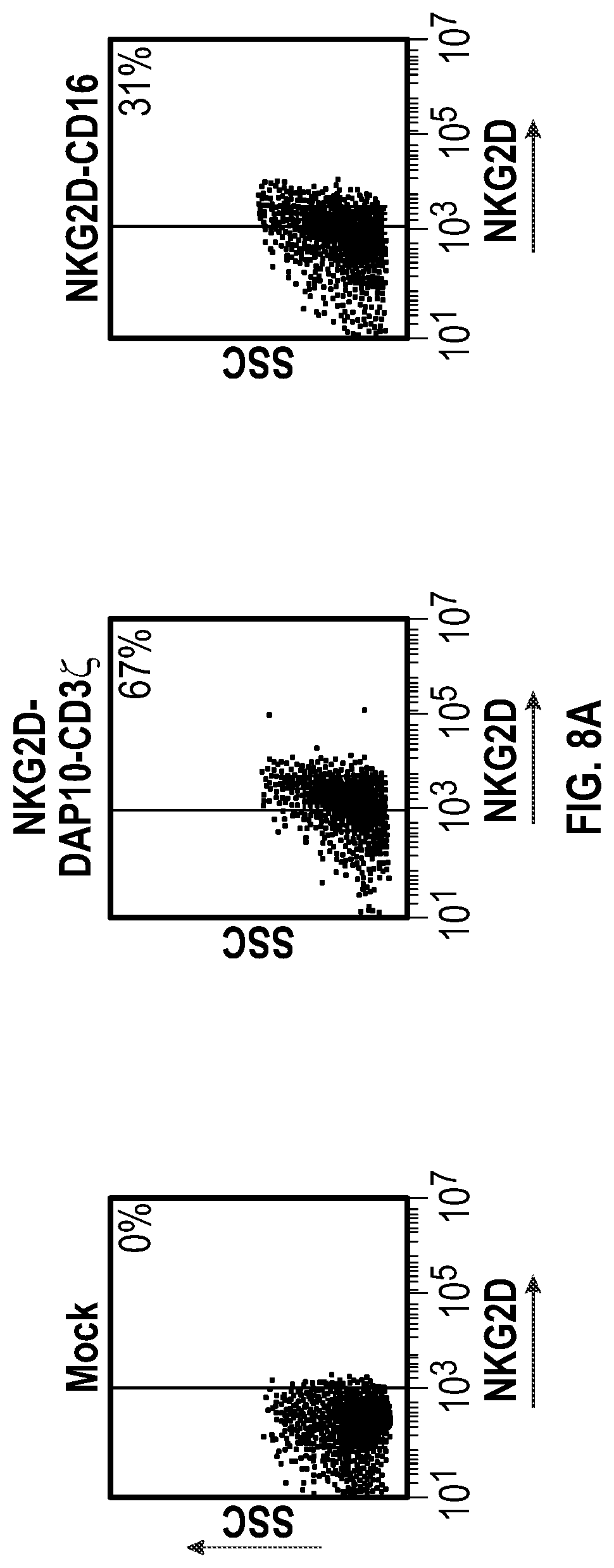 Patent US12351617 Figure 9 – Immune cells comprising truncated NKG2D chimeric receptors