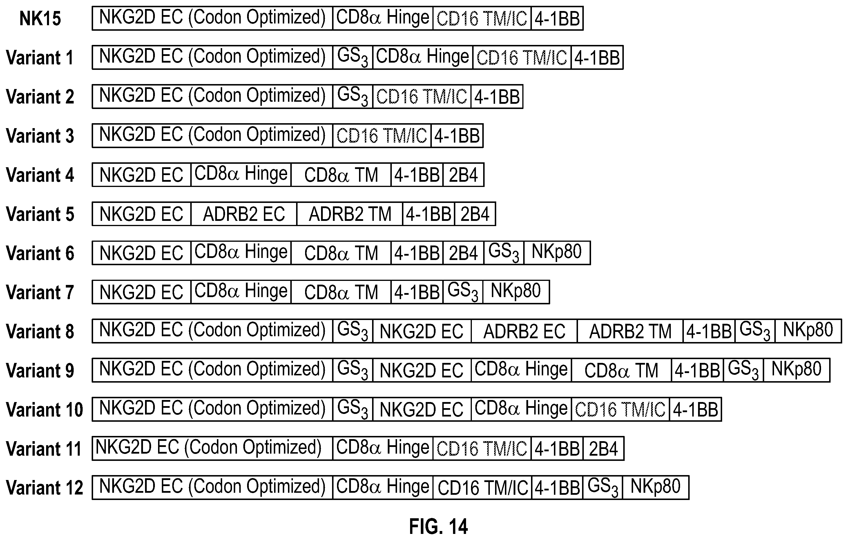 Patent US12351617 Figure 16 – Immune cells comprising truncated NKG2D chimeric receptors