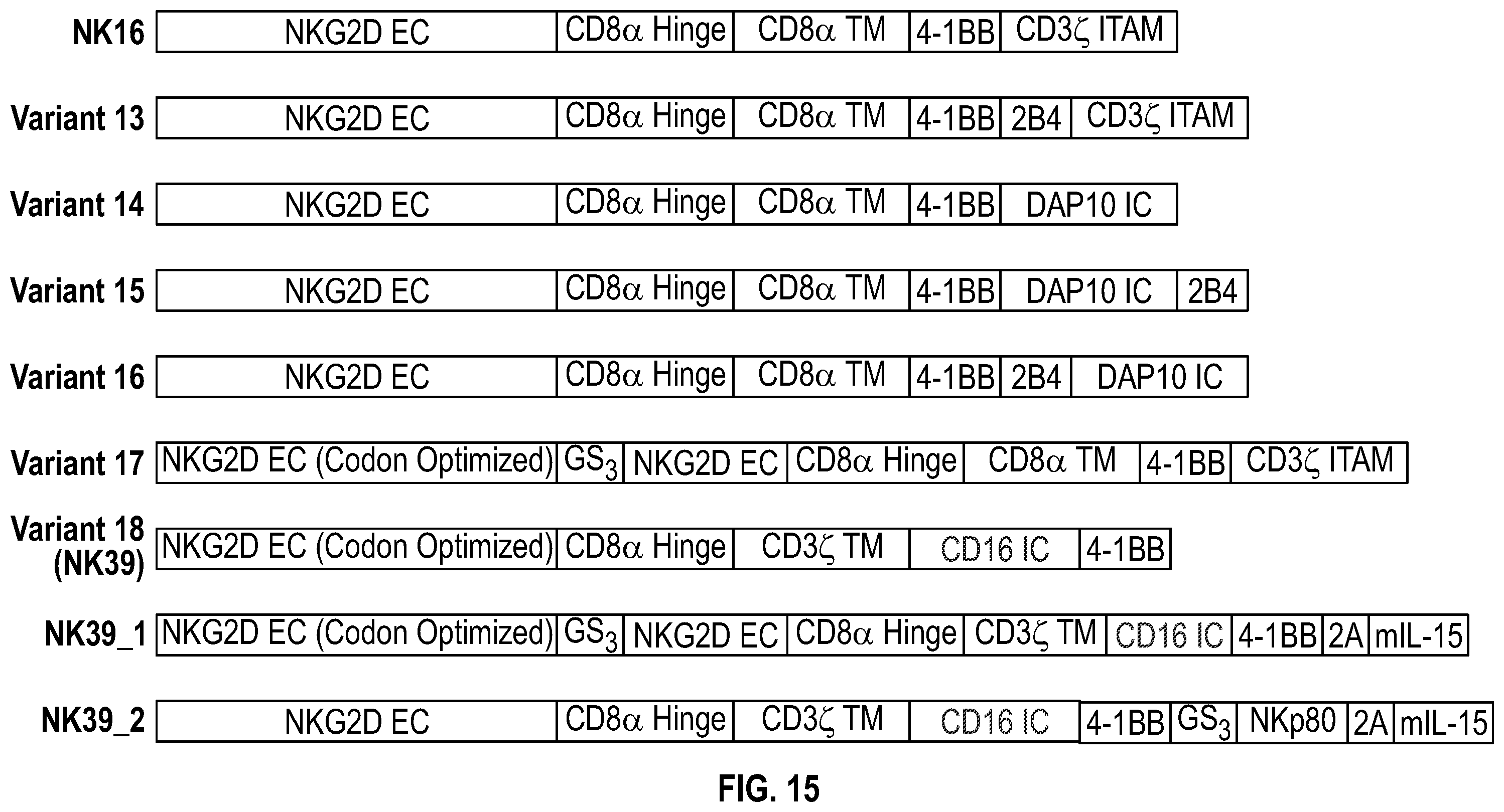 Patent US12351617 Figure 17 – Immune cells comprising truncated NKG2D chimeric receptors