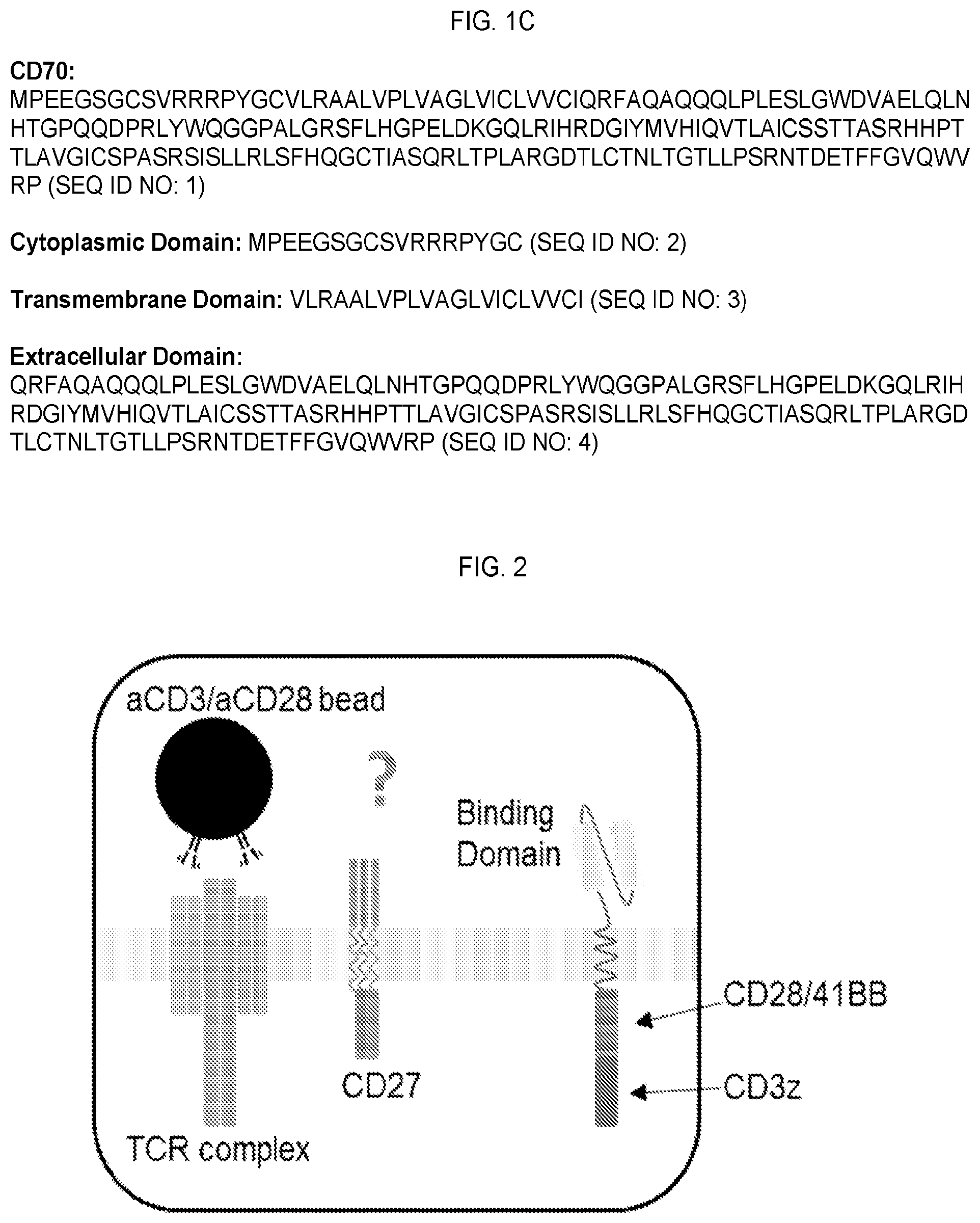 Patent US12351618 Figure 2 – Engineered trimeric CD70 proteins and uses thereof