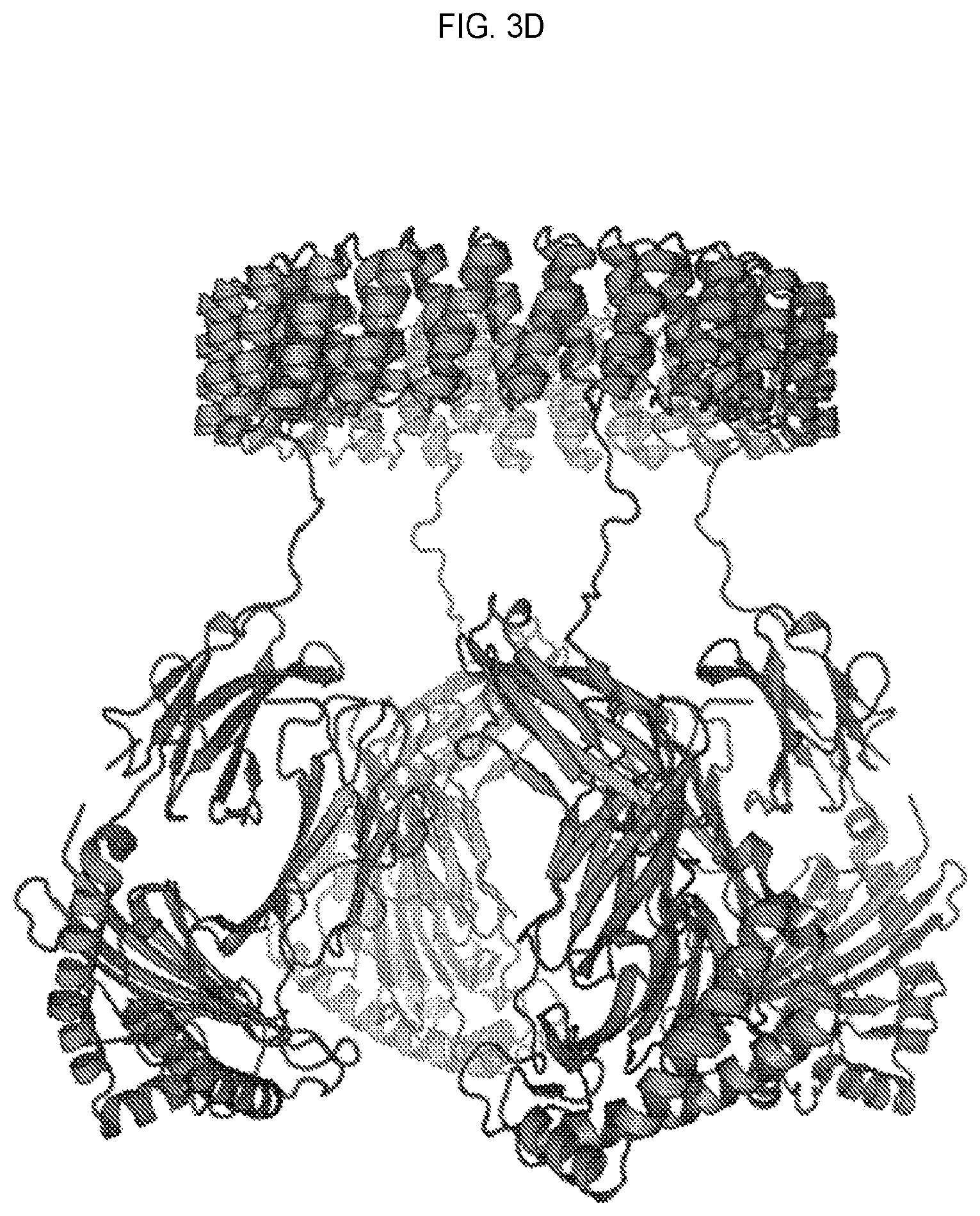 Patent US12351618 Figure 6 – Engineered trimeric CD70 proteins and uses thereof