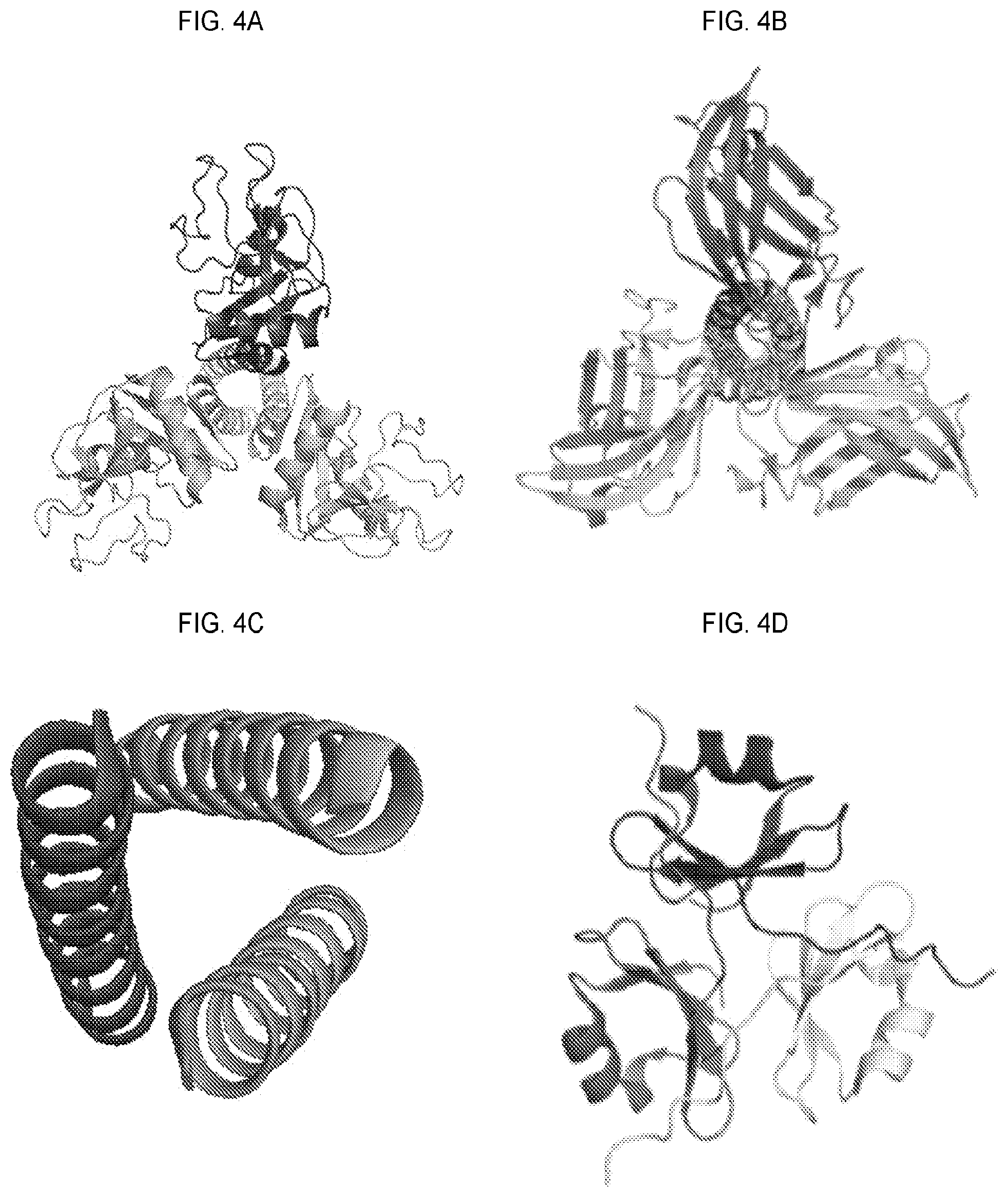 Patent US12351618 Figure 7 – Engineered trimeric CD70 proteins and uses thereof