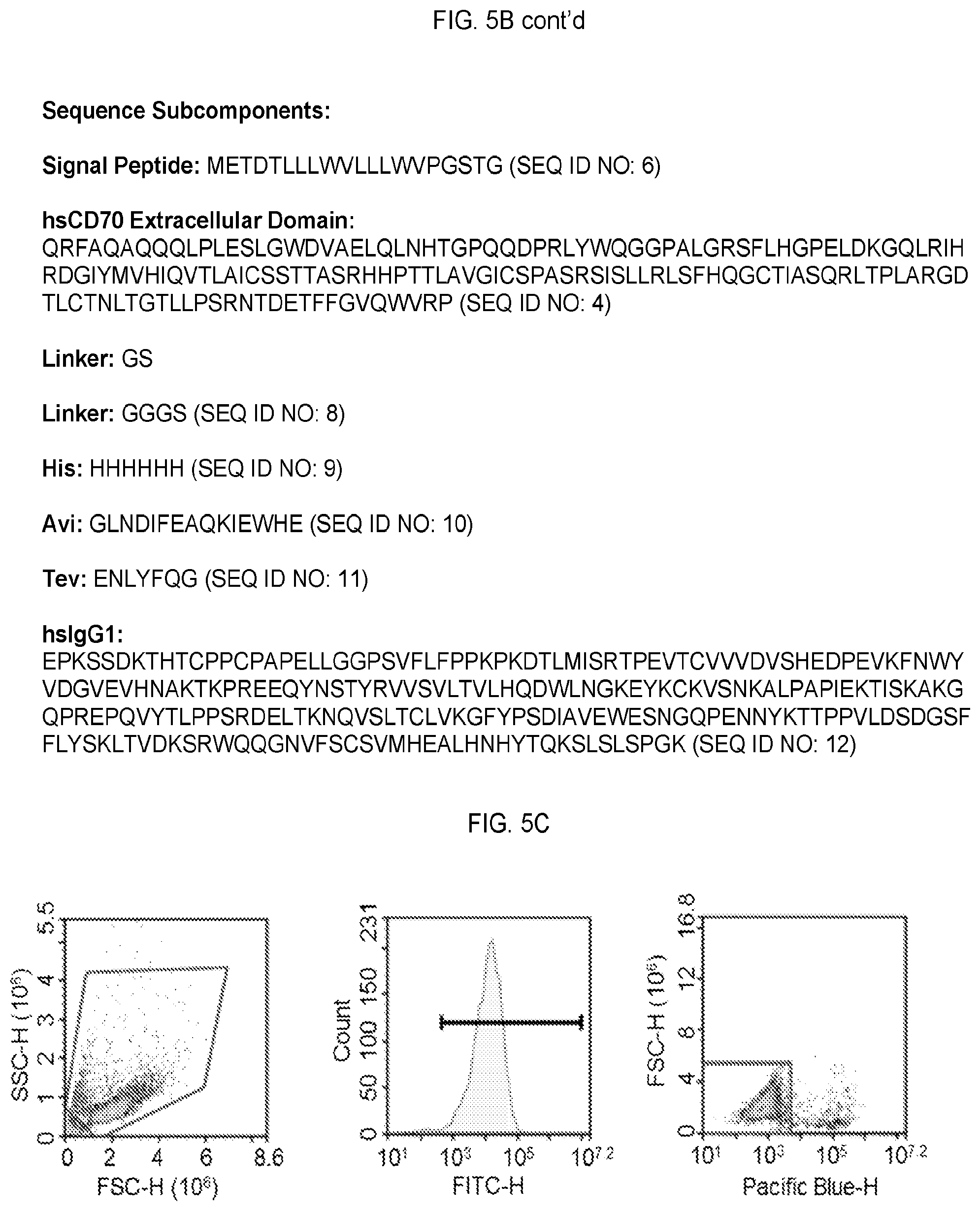 Patent US12351618 Figure 9 – Engineered trimeric CD70 proteins and uses thereof