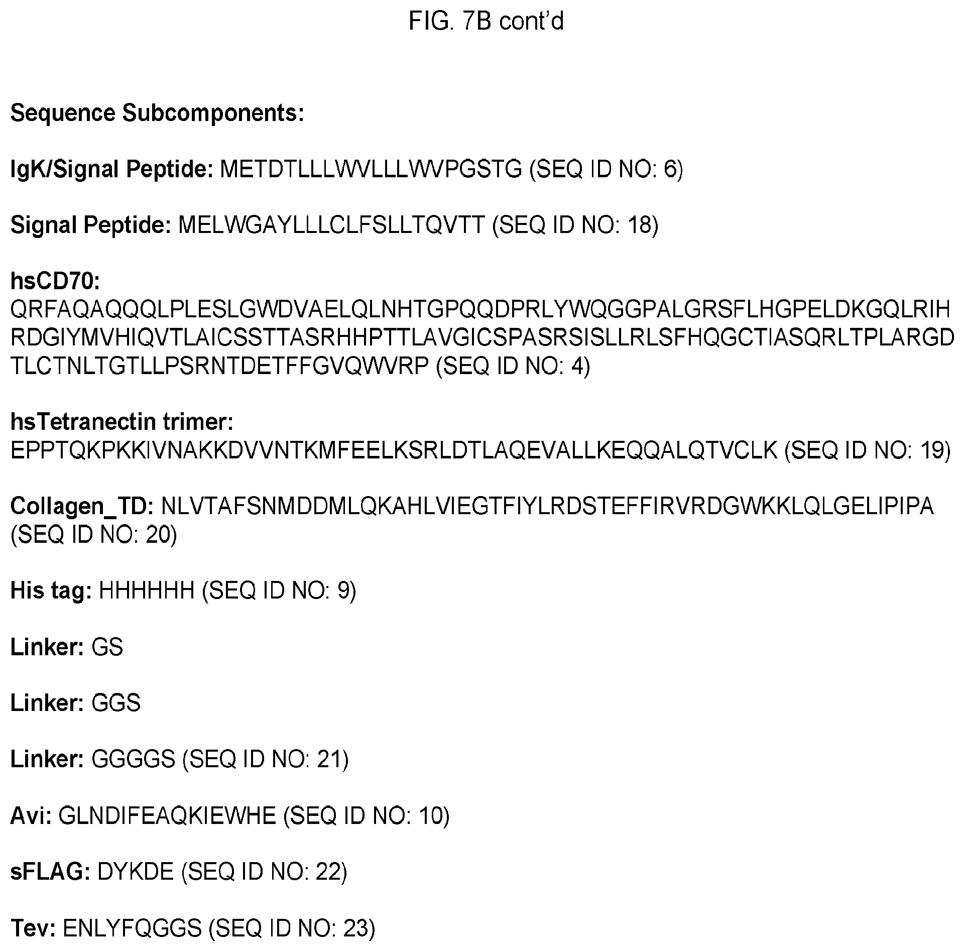 Patent US12351618 Figure 16 – Engineered trimeric CD70 proteins and uses thereof