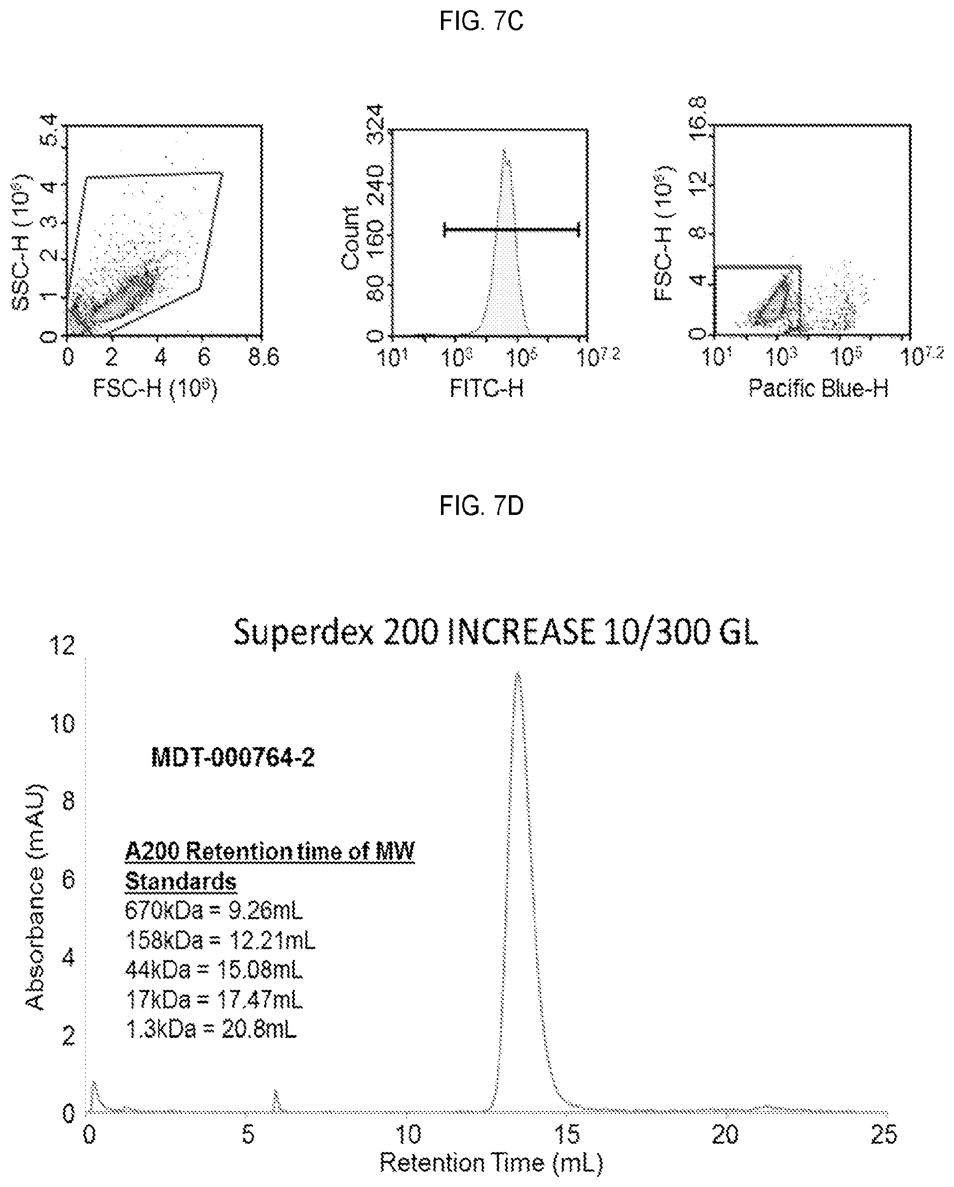 Patent US12351618 Figure 17 – Engineered trimeric CD70 proteins and uses thereof